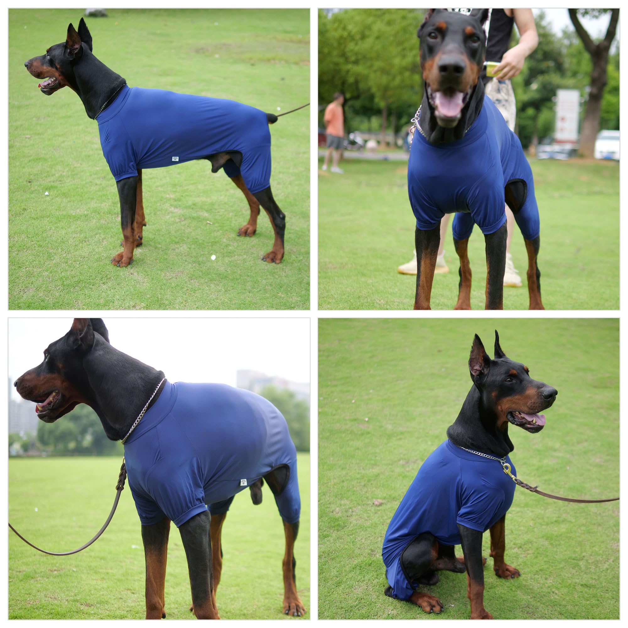 Lovelonglong Dog Jumpsuit With Uv Protection And Quick-Dry Fabric For Spring Summer Pet Pajamas Navy Blue 2Xl