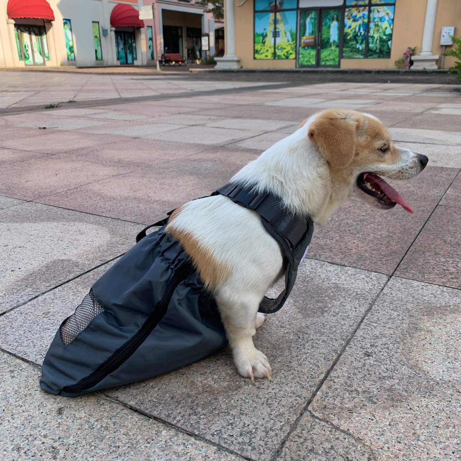 derYEP Dog Drag Bag Durable Indoor Wheelchair Alternative for paralyzed Disabled Back Rear Legs Dog Protects Chest and Limbs (XS