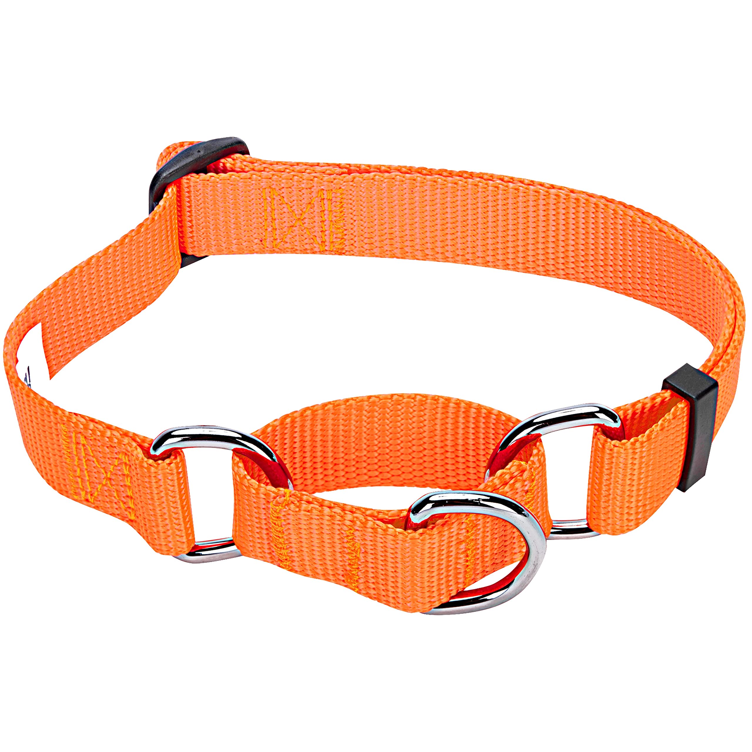 Blueberry Pet Essentials Martingale Safety Training Dog Collar, Florence Orange, Small, Heavy Duty Nylon Adjustable Collars For 