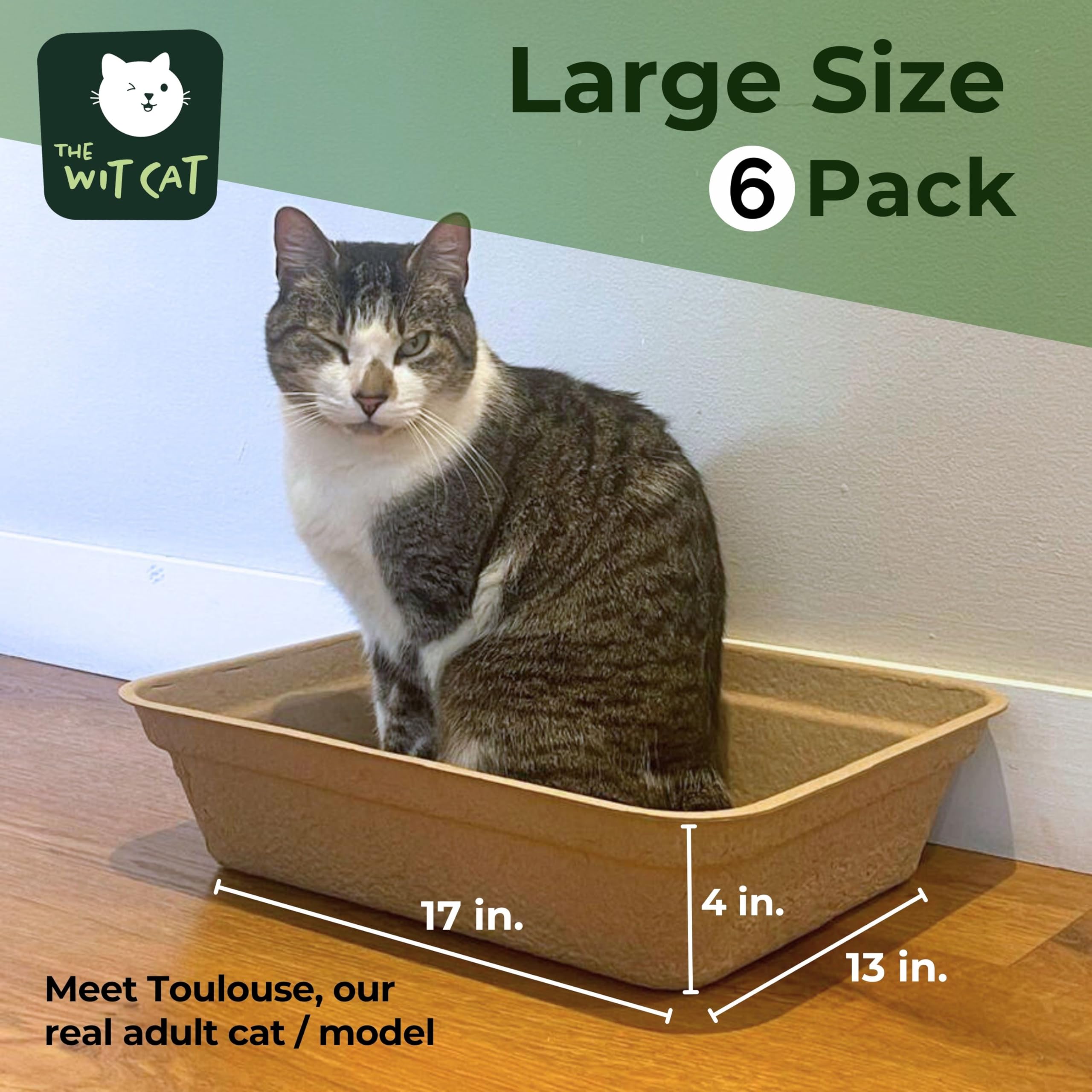 Disposable Litter Boxes For Cats | 6-Pack, Large Size | Rigid, Sturdy And Leakproof | Practical And Sustainable Liner Or Stand-A