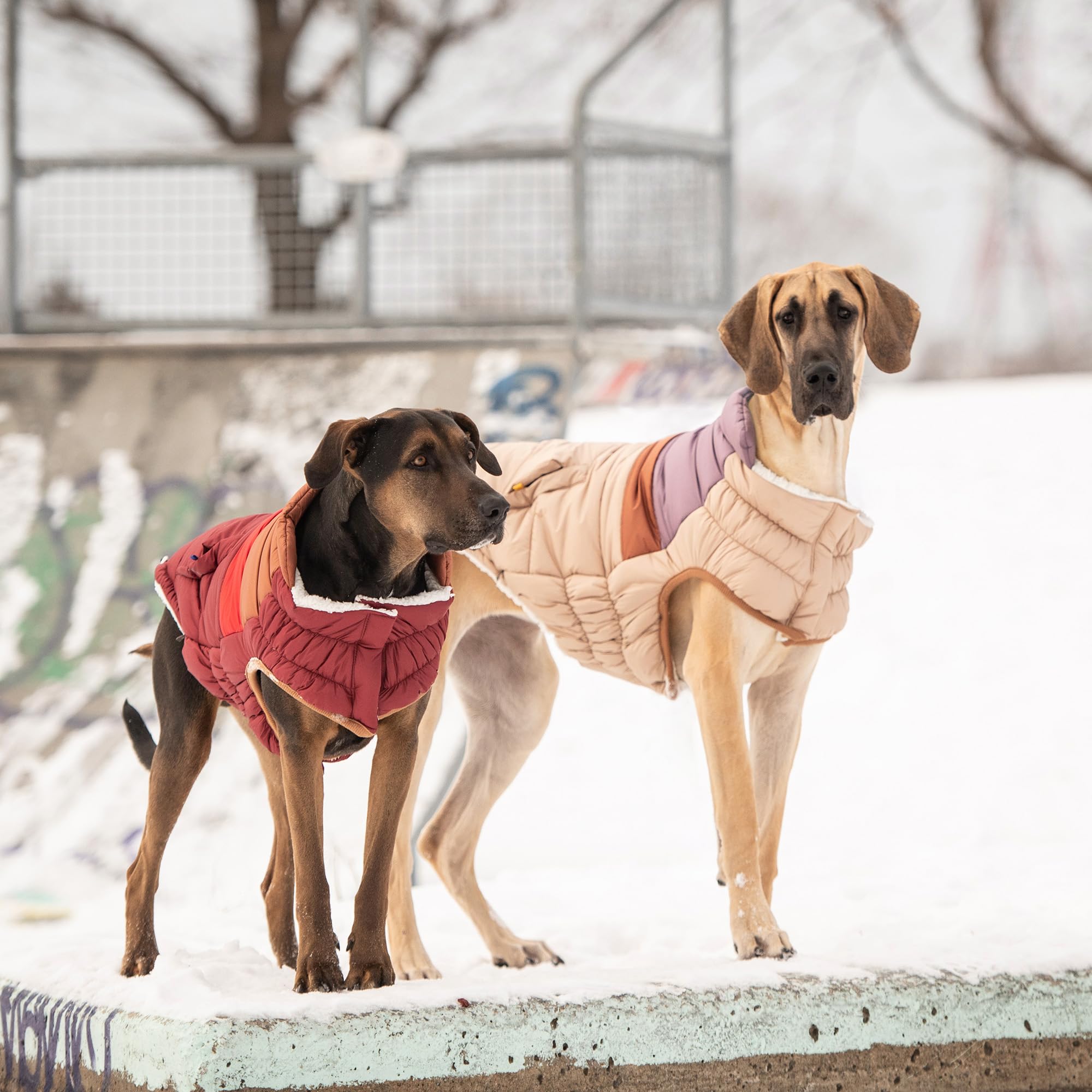 Elasto-Fit Classic Puffer Dog Jacket - Quilted Winter Pet Coat With Adjustable Straps, Waterproof Insulated Dog Outerwear For Small Medium Large Dogs, Easy On Off Design - Sand, X-Small