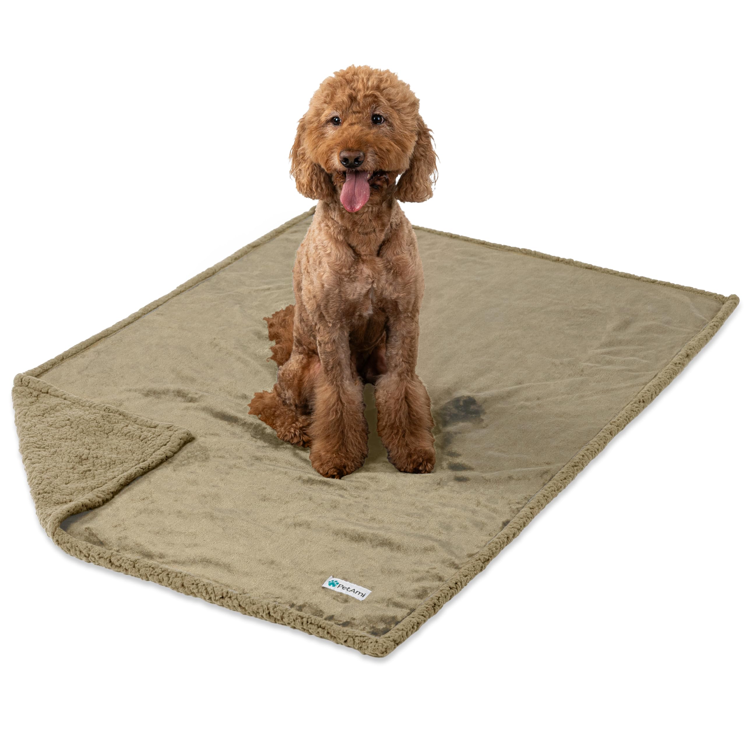Petami Waterproof Dog Blanket For Bed, Xl Dog Pet Blanket Couch Cover Protection, Sherpa Fleece Leakproof Bed Blanket For Crate Kennel Sofa Furniture Protector, Reversible Soft Plush 80X60 Taupe Taupe
