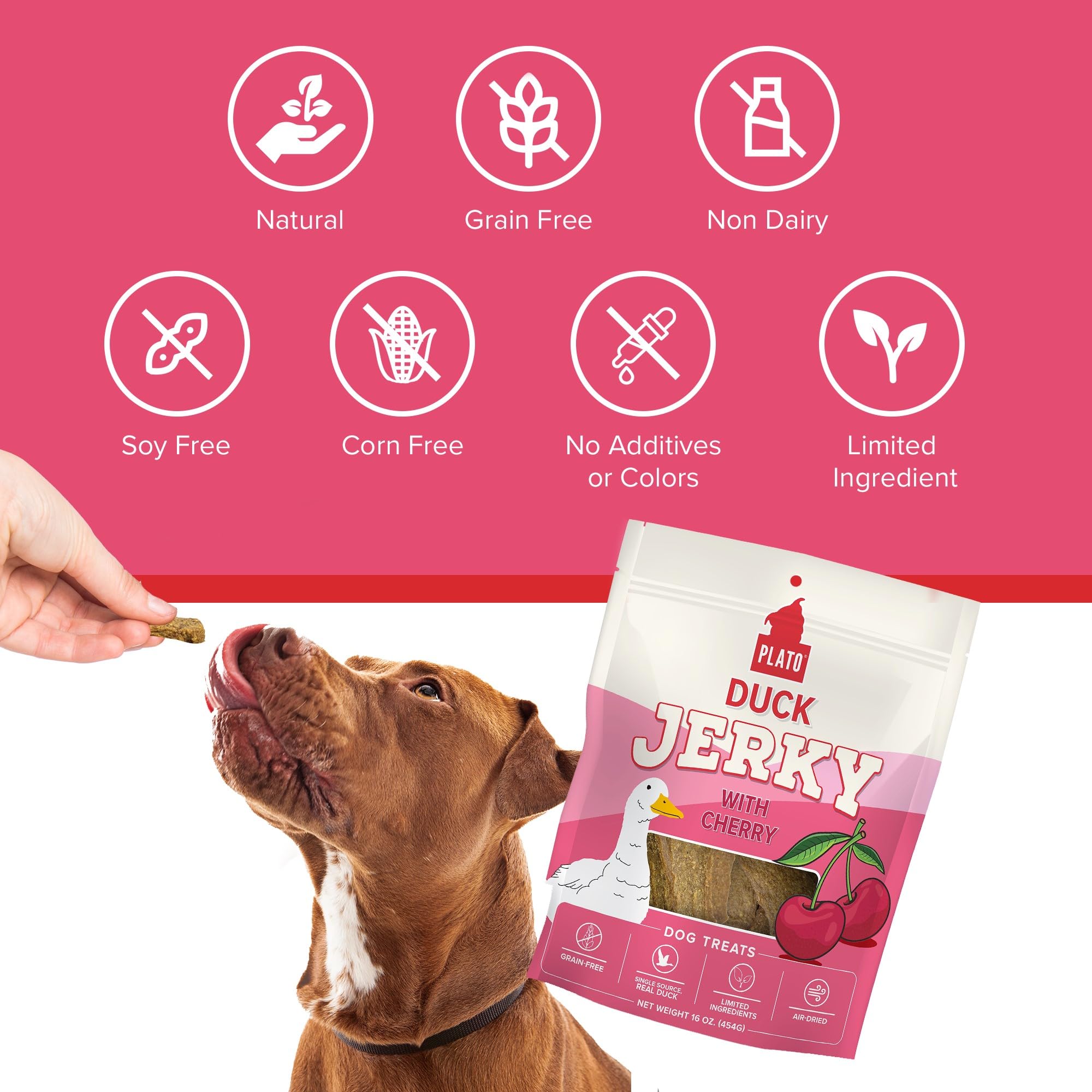 Plato Pet Treats - Air-Dried Jerky - Delicious, Real Meat Dog Treats - Grain Free - Supports Healthy Digestion - Duck with Cherr