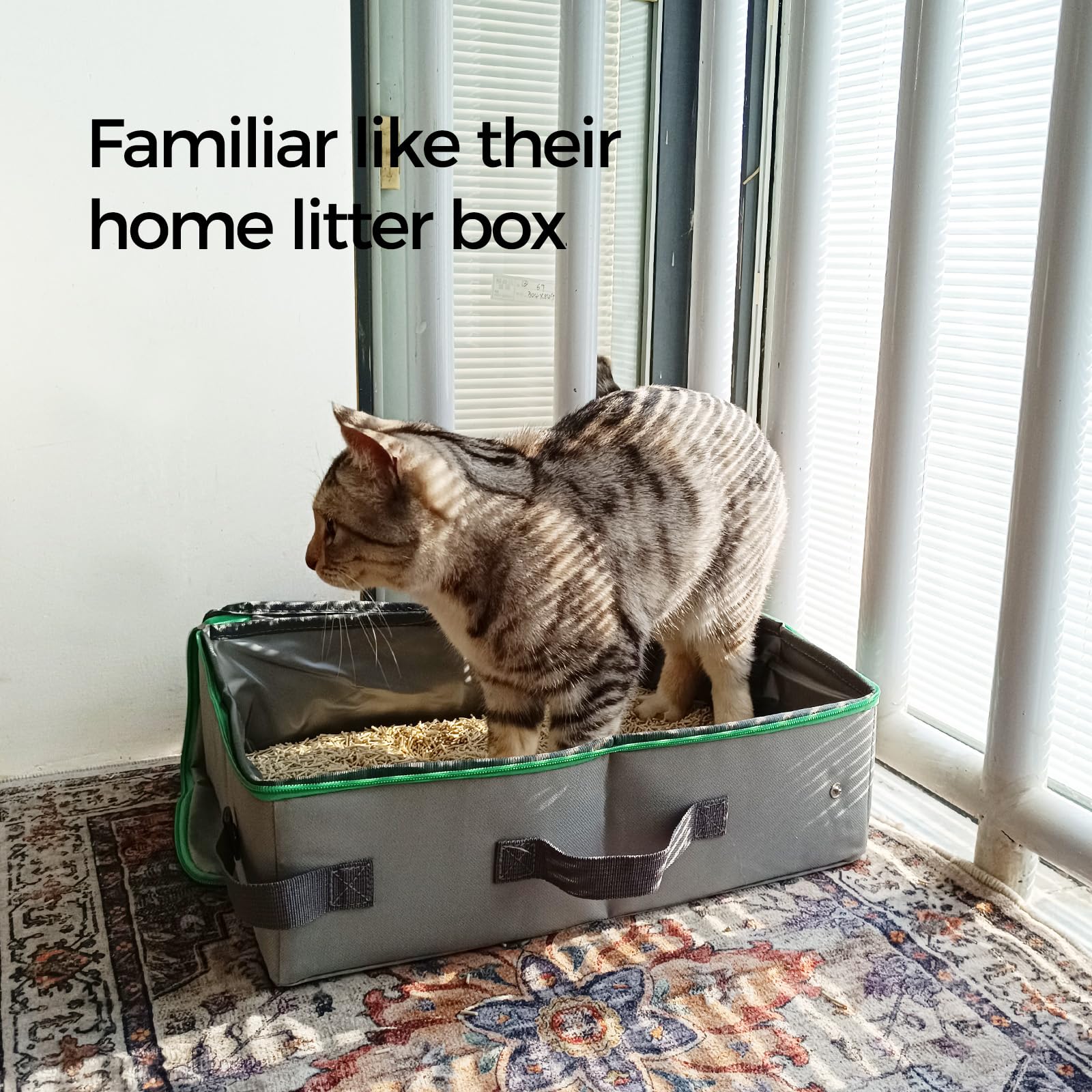 Pangdi Travel Litter Box For Cats, Portable Collapsible With Lid, Leak-Proof, Odor Control, Easy Cleaning, In Hotels, Camping, R