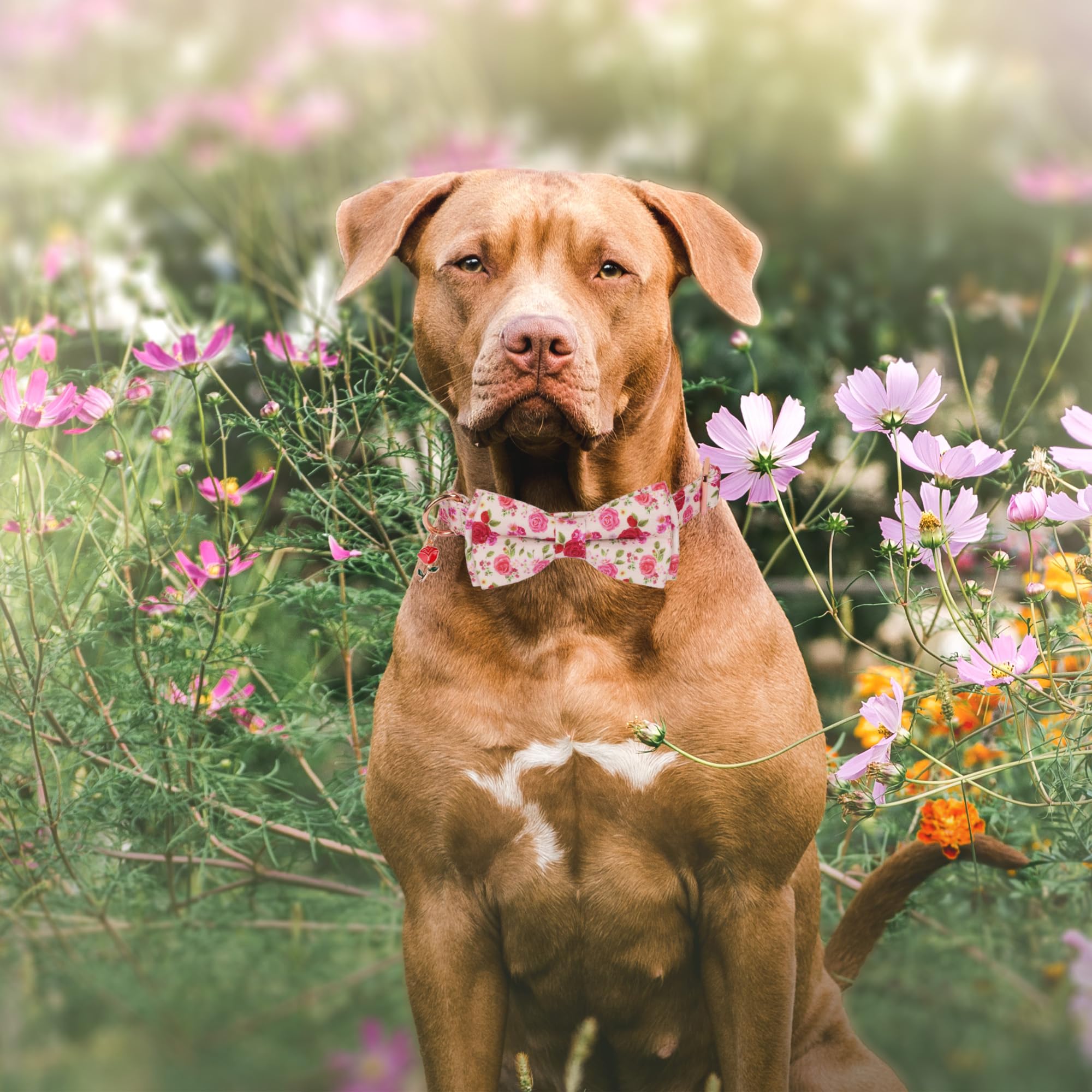 Adoggygo Floral Dog Collar With Bow, Red Pink Rose Flower Dog Bow Collar With Metal Buckle, Adjustable Pet Floral Collars For La