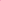 Bone Dry Embroidered Pet Grooming Towel Collection, Absorbent Microfiber X-Large, 41x23.5, Raspberry Sorbet