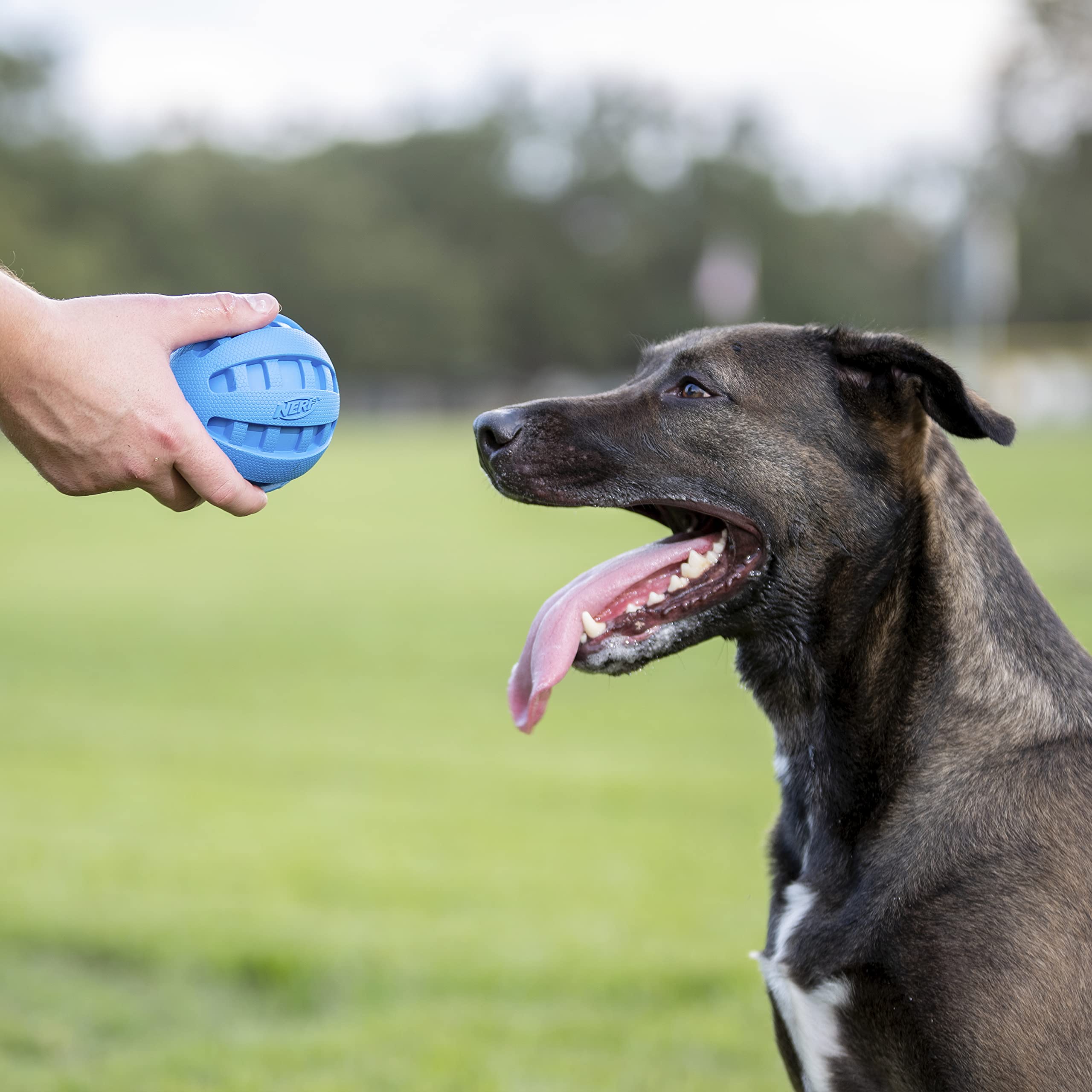 Nerf Dog Rubber Ball Dog Toy With Checkered Squeaker, Lightweight, Durable And Water Resistant, 4 Inch Diameter For Medium/Large Breeds, Single Unit, Blue