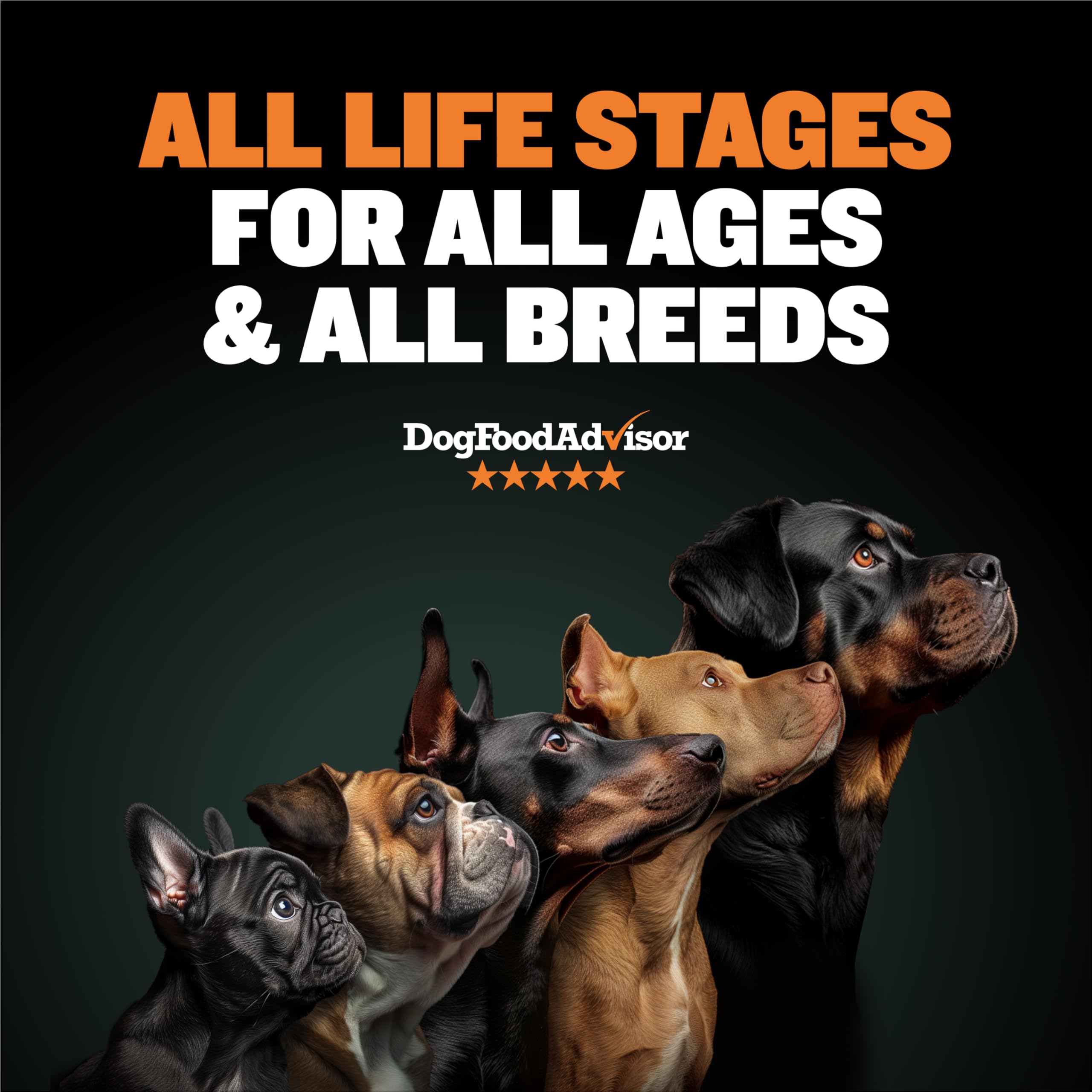 Bully Max Wet Dog Food - Instant Fresh Dehydrated High Protein Soft Puppy & Adult Dog Food with Chicken - Healthy Muscle Growth