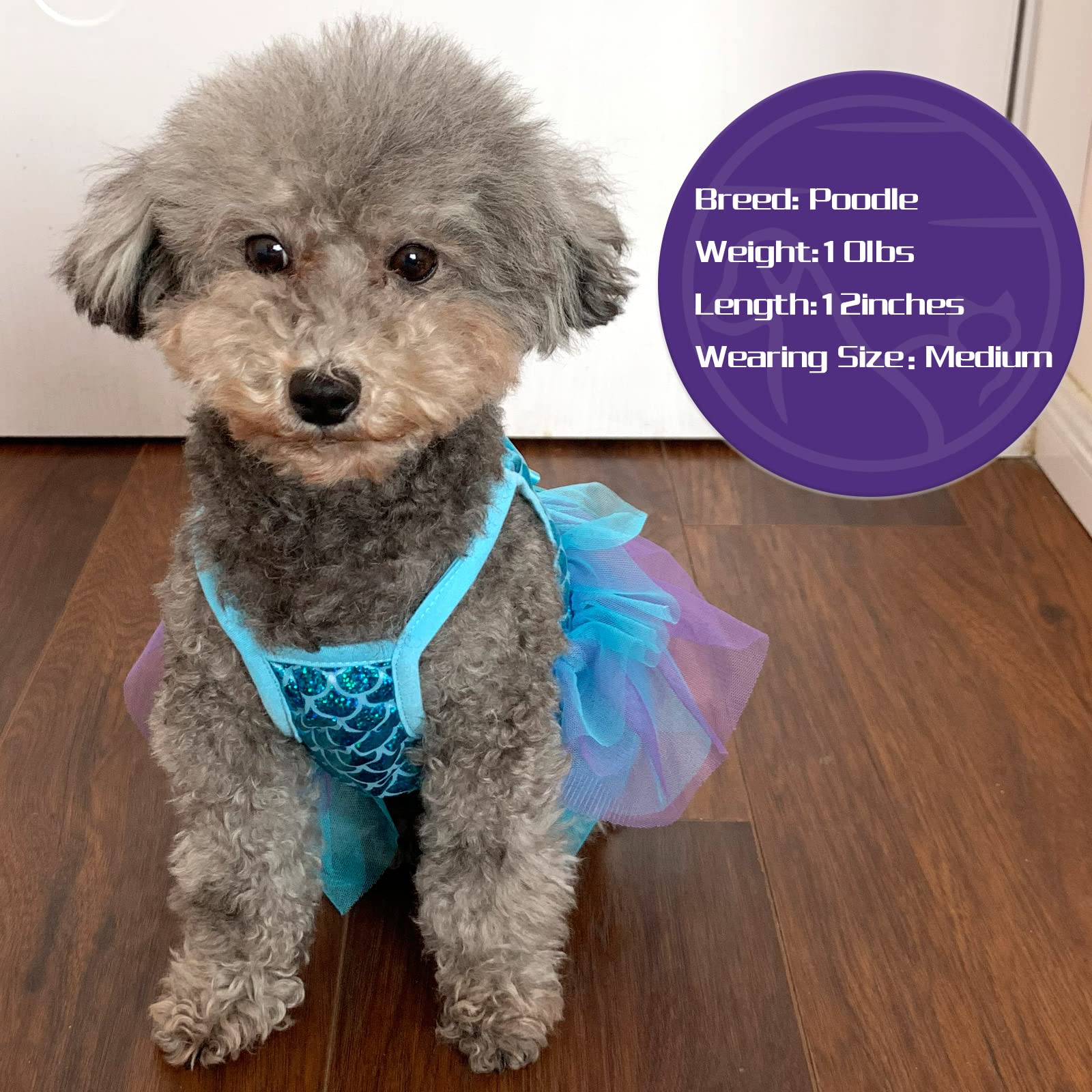 Cyeollo Halloween Dog Dress Holiday Outfits Boo Cute Leopard Print Pumpkin Puppy Girls Party Dog Tulle Dresses For Dogs Cats Size S