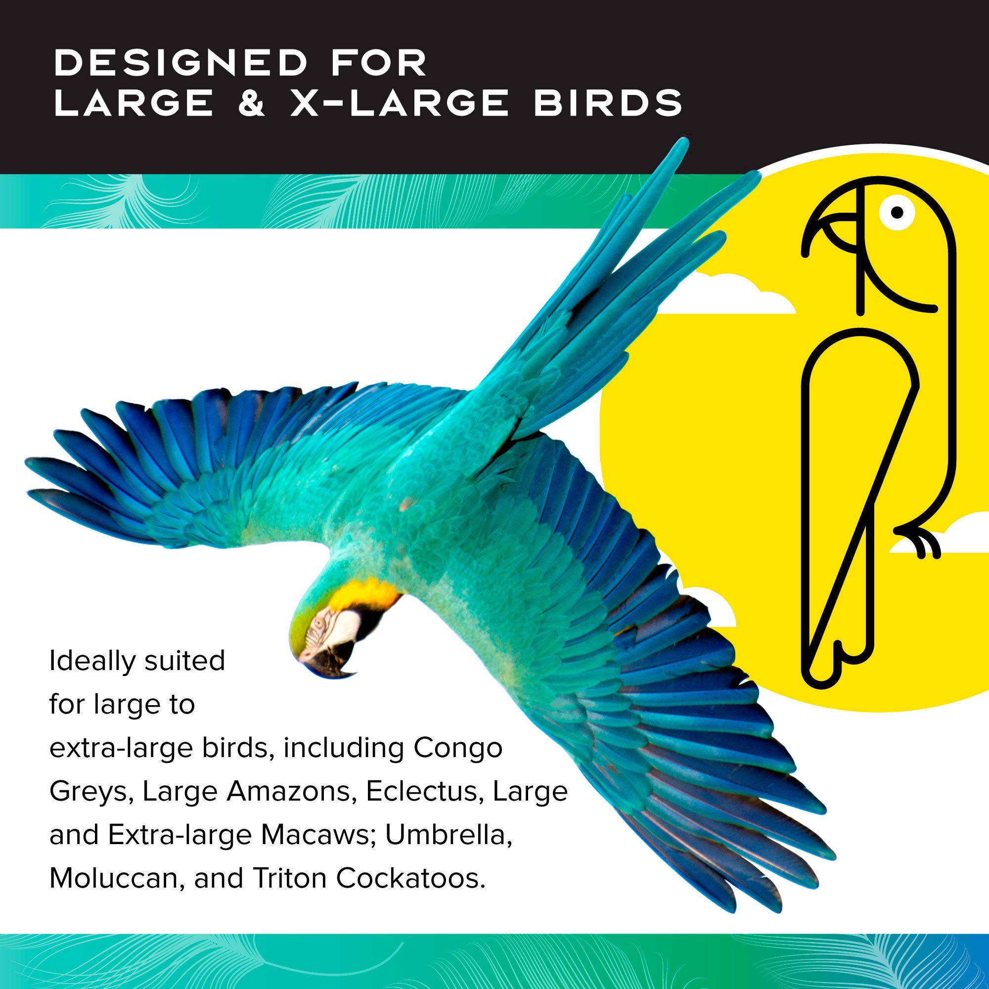 Featherland Paradise Creative Foraging Systems Foraging Wheel, Interactive Bird Cage Toy Feeder