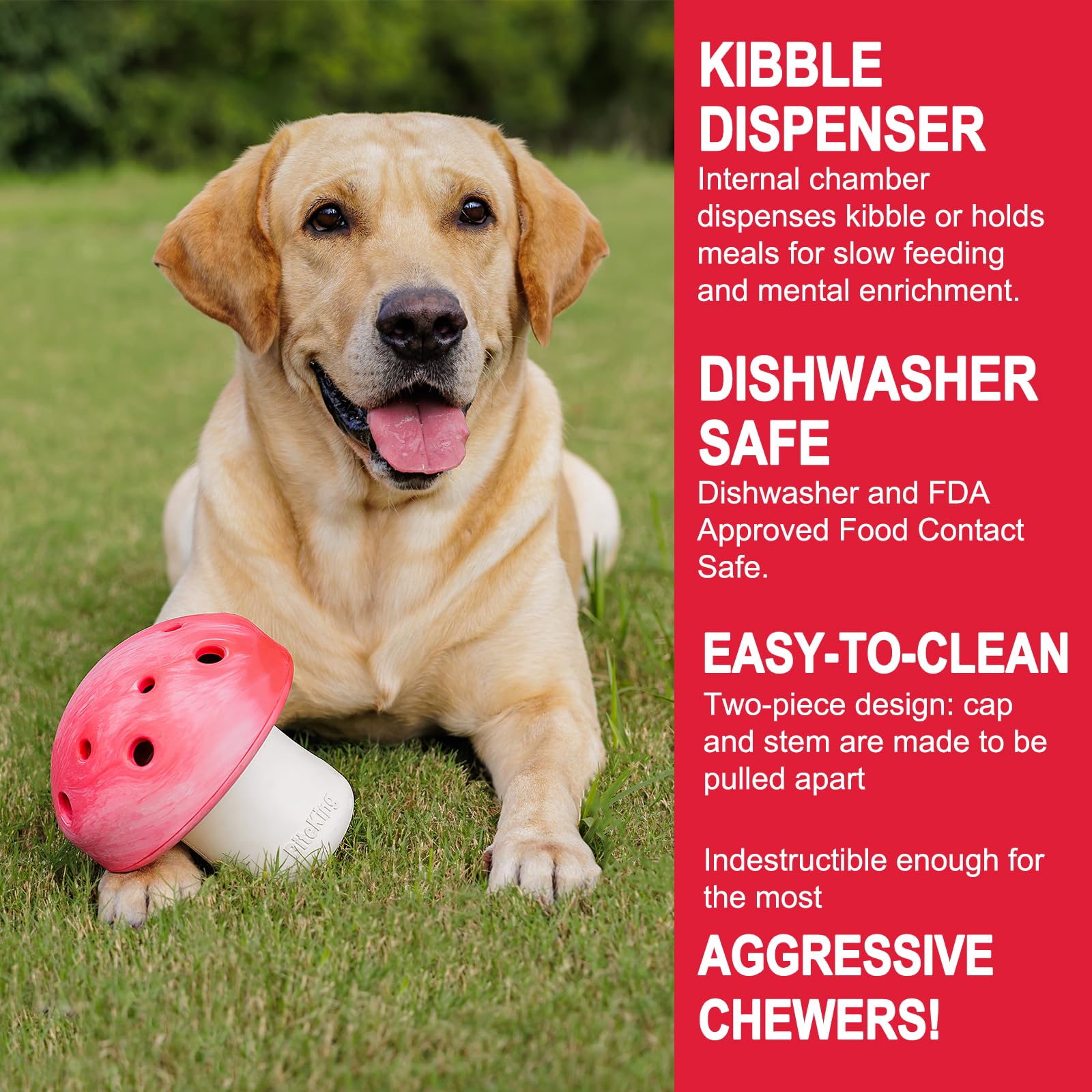 BiteKing Natural Rubber Dog Enrichment Toys for Large Dogs, Slow Feeder to Keep Them Busy - Lifetime Replacement - Durable Treat