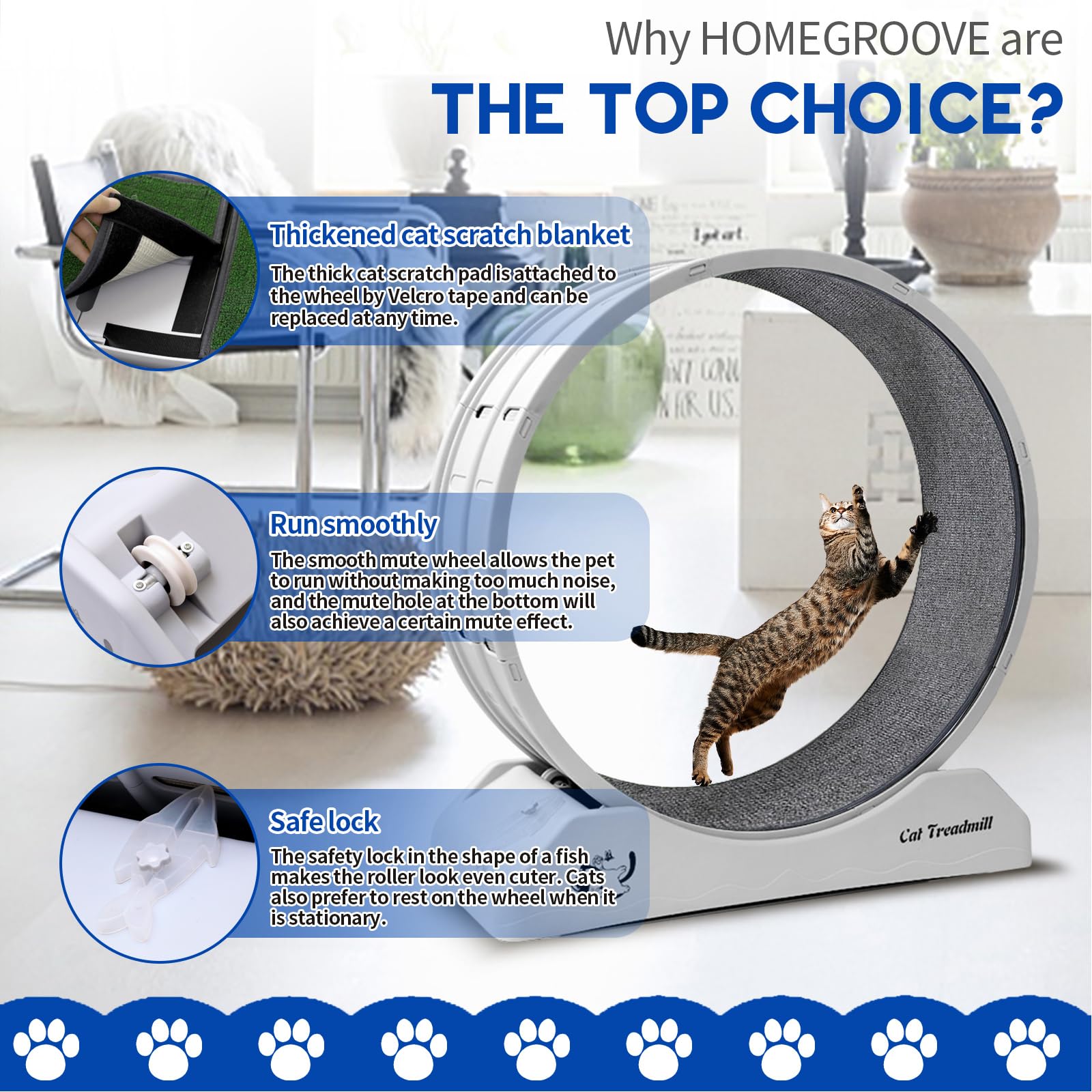 Homegroove 31.5 Inch Cat Wheel For Indoor Cats, Cat Exercise Running Treadmill Wheel With Carpeted Runway For Kittens Weight Los