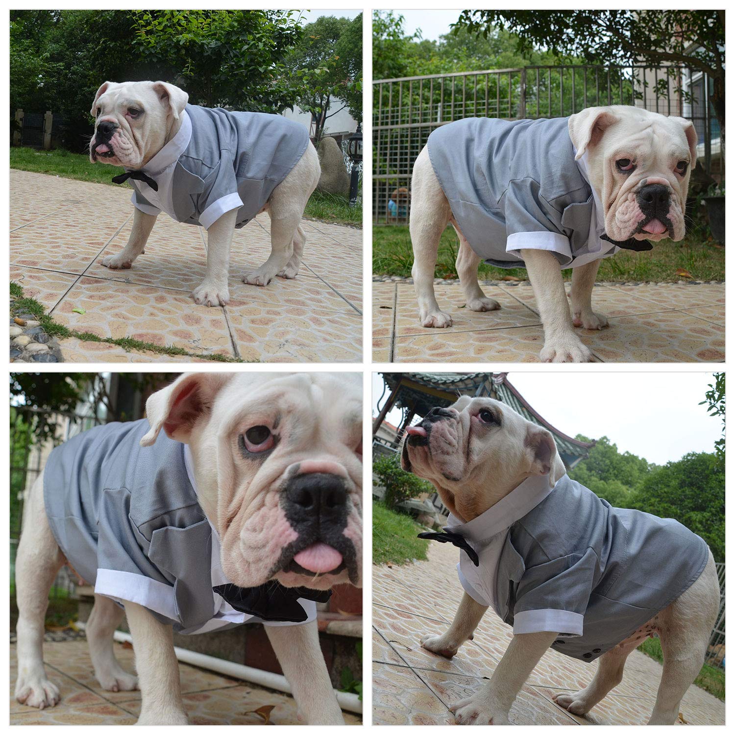 Lovelonglong Pet Costume Dog Suit Formal Tuxedo With Black Bow Tie For Medium Dogs Beagle Clothing Gray L-S