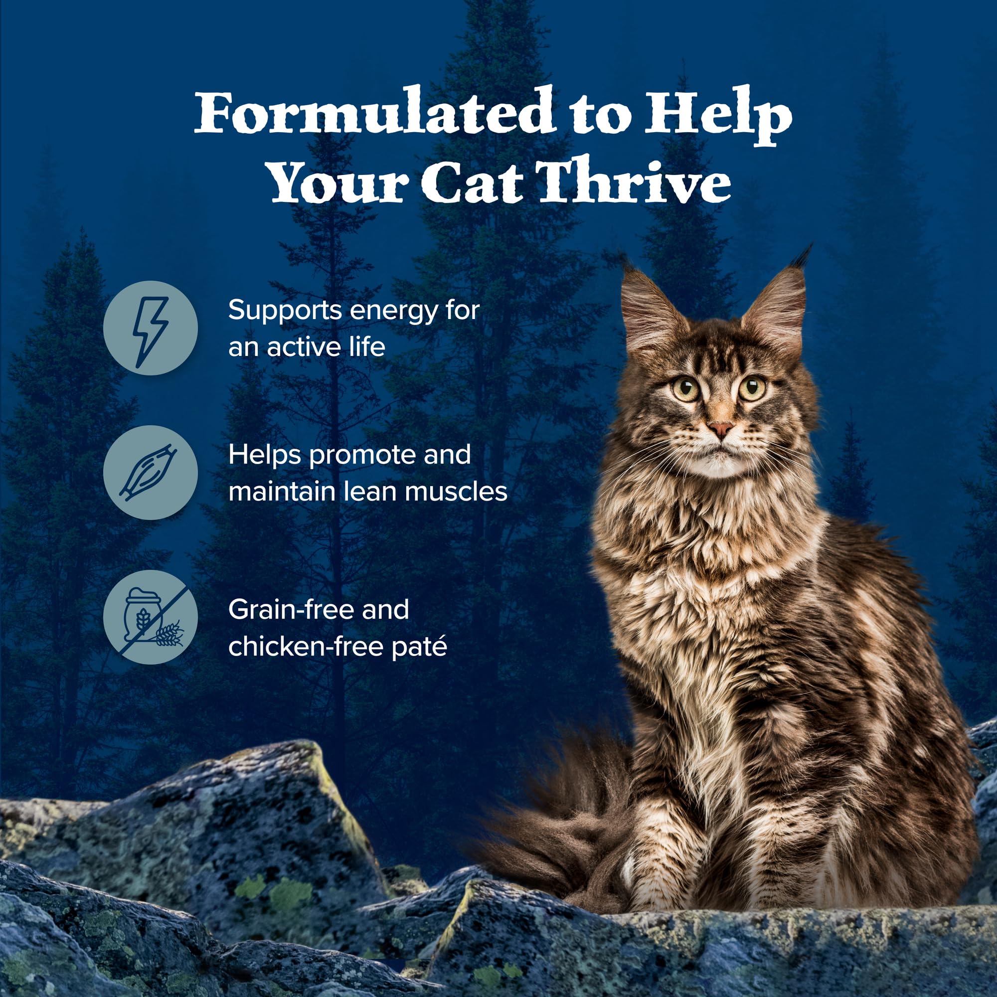 Blue Buffalo Wilderness Rocky Mountain Recipe Natural High Protein Wet Food for Adult Cats, Trout in Tasty Gravy, 5.5-oz cans, P