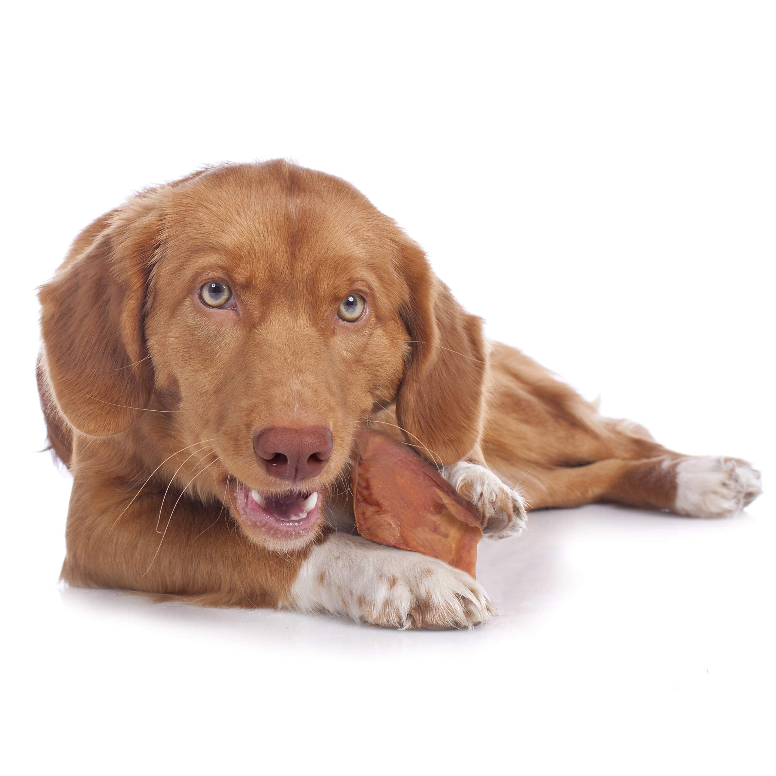 Cadet Natural Pig Ears for Dogs, Long Lasting & Natural Chew Treats for Dogs, 25 Count