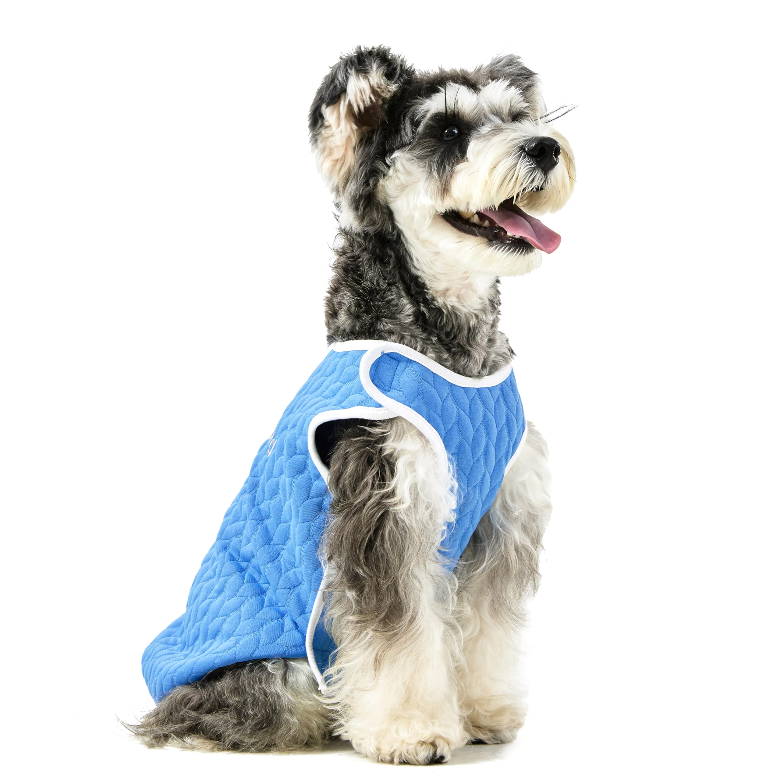 Knewchord Dog Shirts Soft Warm Cat Shirts Pet T-Shirt Puppy Dog Apparel Tee Tanks, Easy On And Off (Blue, Xxxx-Large)