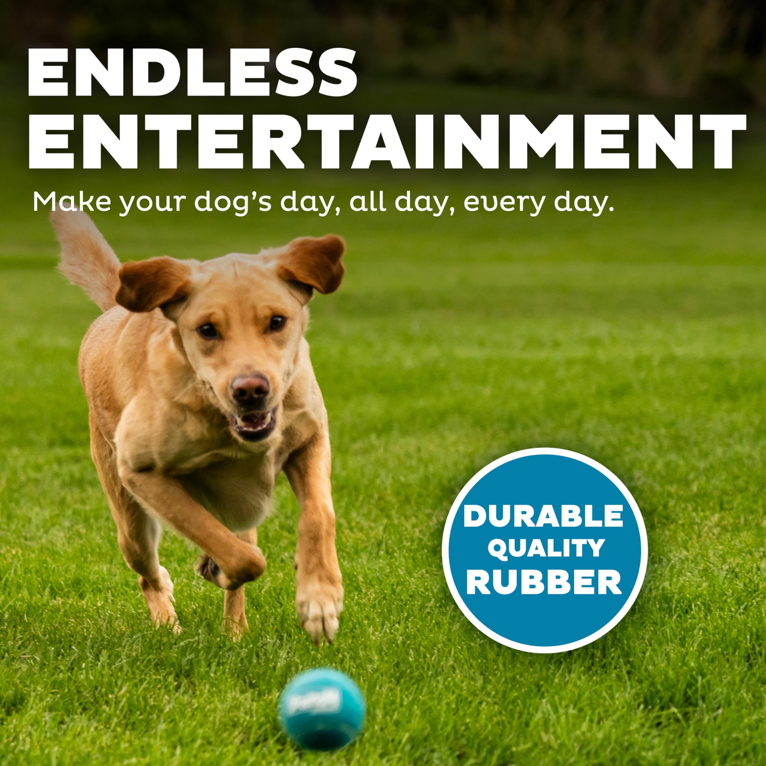 Outward Hound Squeaker Ballz Fetch Dog Toy, Medium, 6-Pack