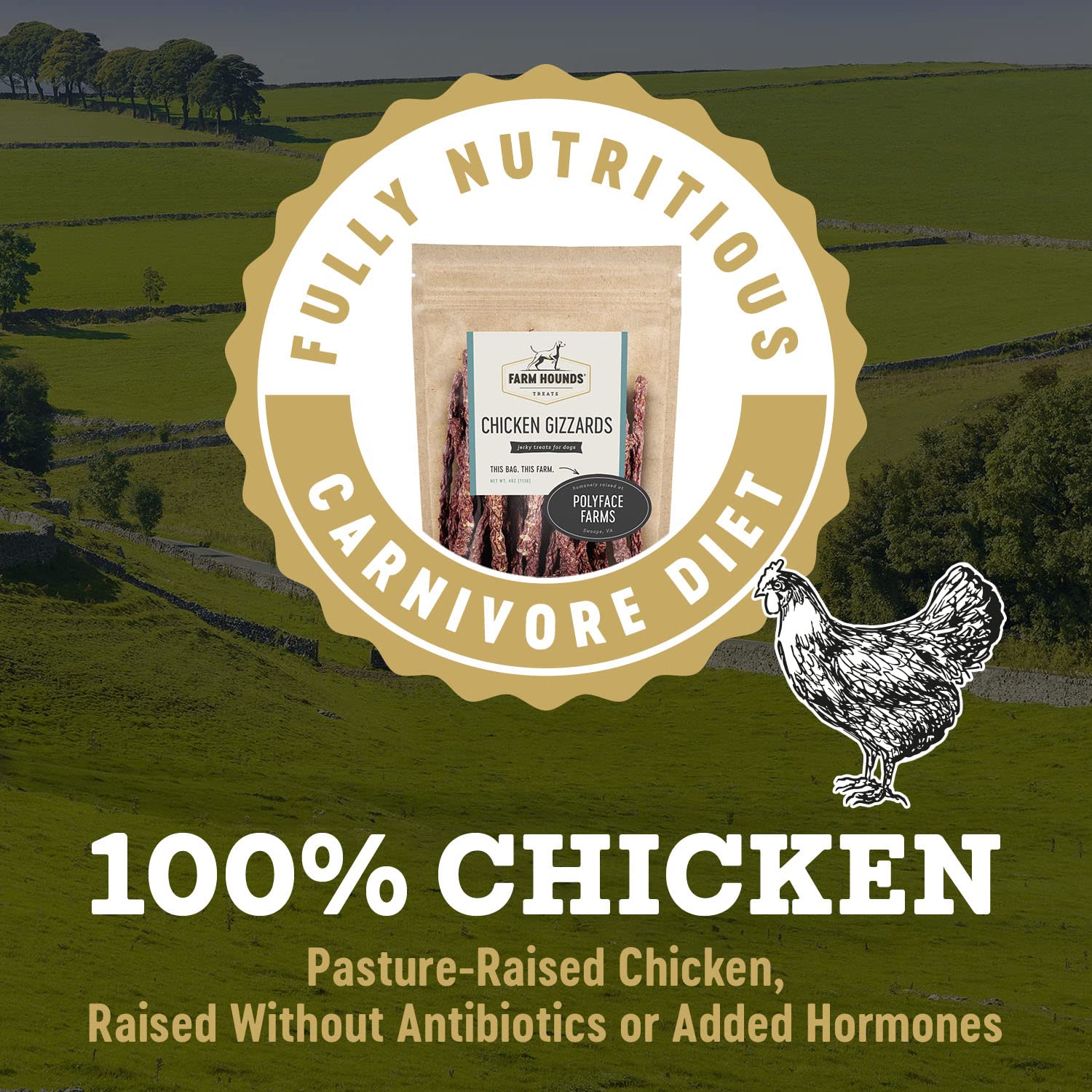 Farm Hounds - Chicken Gizzards - Premium Natural Jerky for Dogs - 100% Humanely Raised Chicken - Break-to-Size - Great for Train