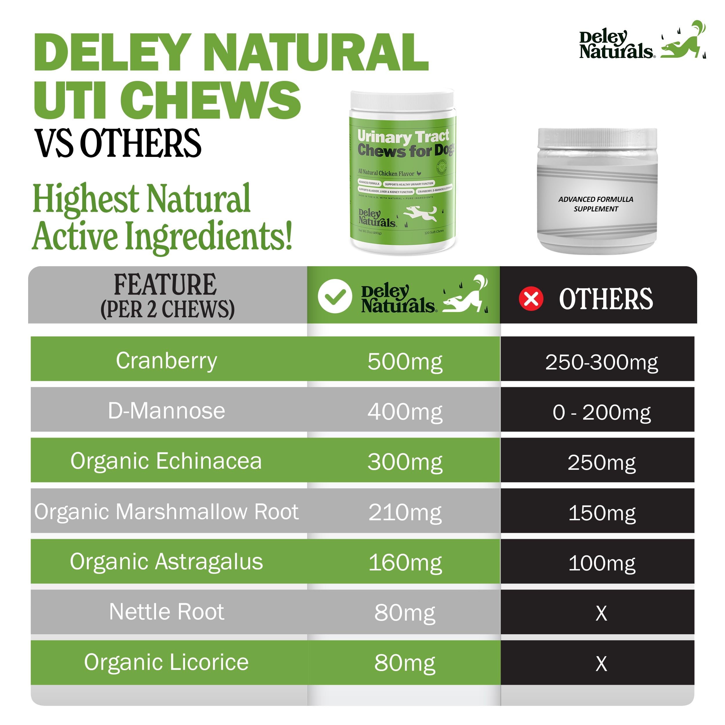 Deley Naturals Dog UTI Chews - Vet-Grade Cranberry Supplement for Dogs with D-Mannose & Echinacea for Bladder & Urinary Tract He
