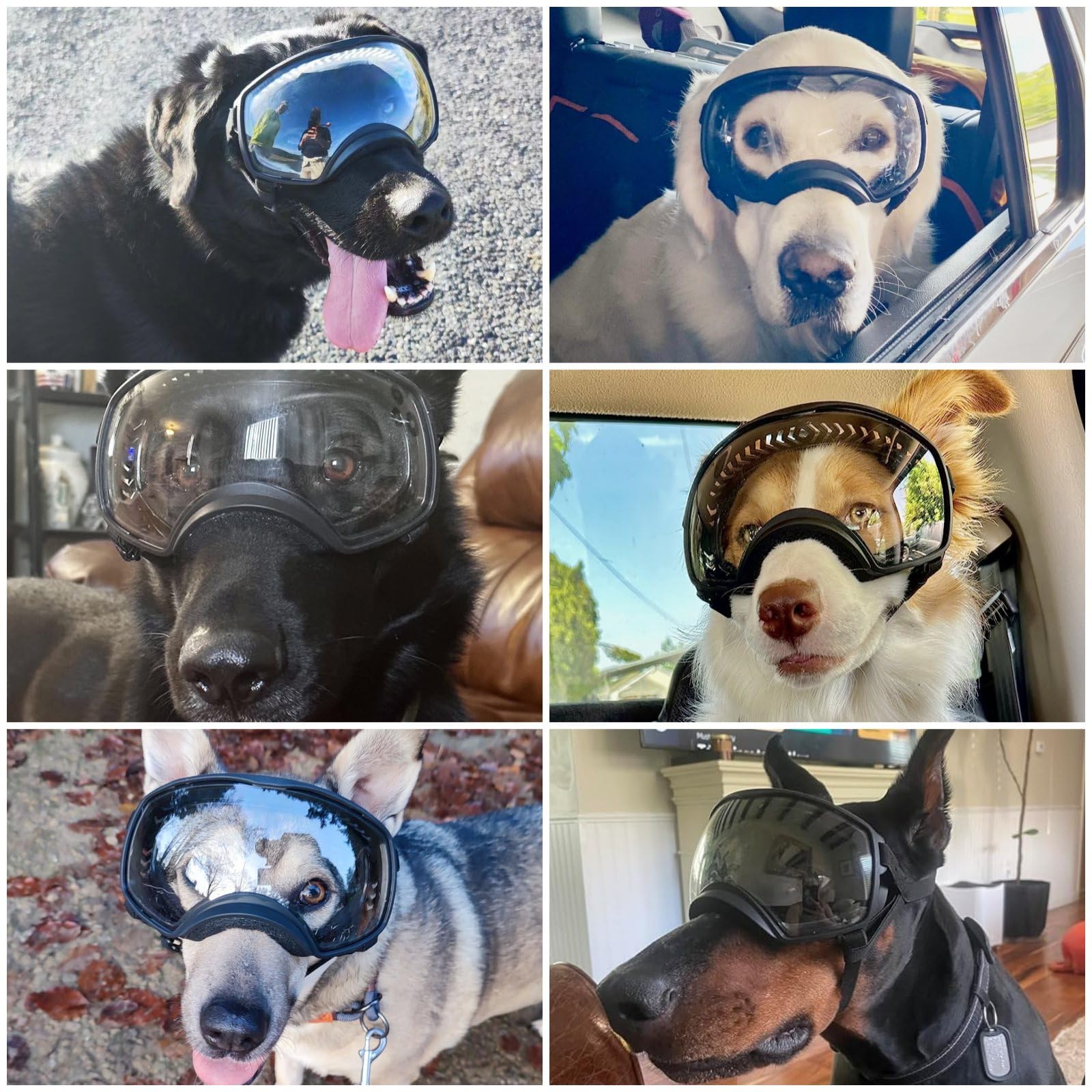 Enjoying Clear Dog Goggles For Large Dogs, Dog Sunglasses Medium Large Breed, Summer Uv Pet Eye Protection, Winter Pet Snow Gogg