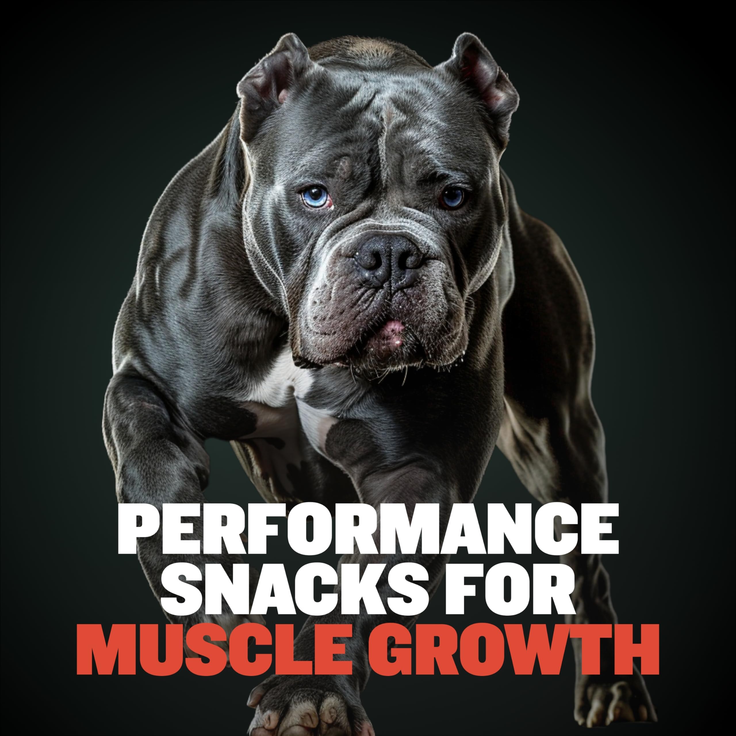 Bully Max Premium High Protein Dog Treats for Puppy & Adult Dogs - Training Dog Food Treats with 40% Protein, Real Meat, Veggies