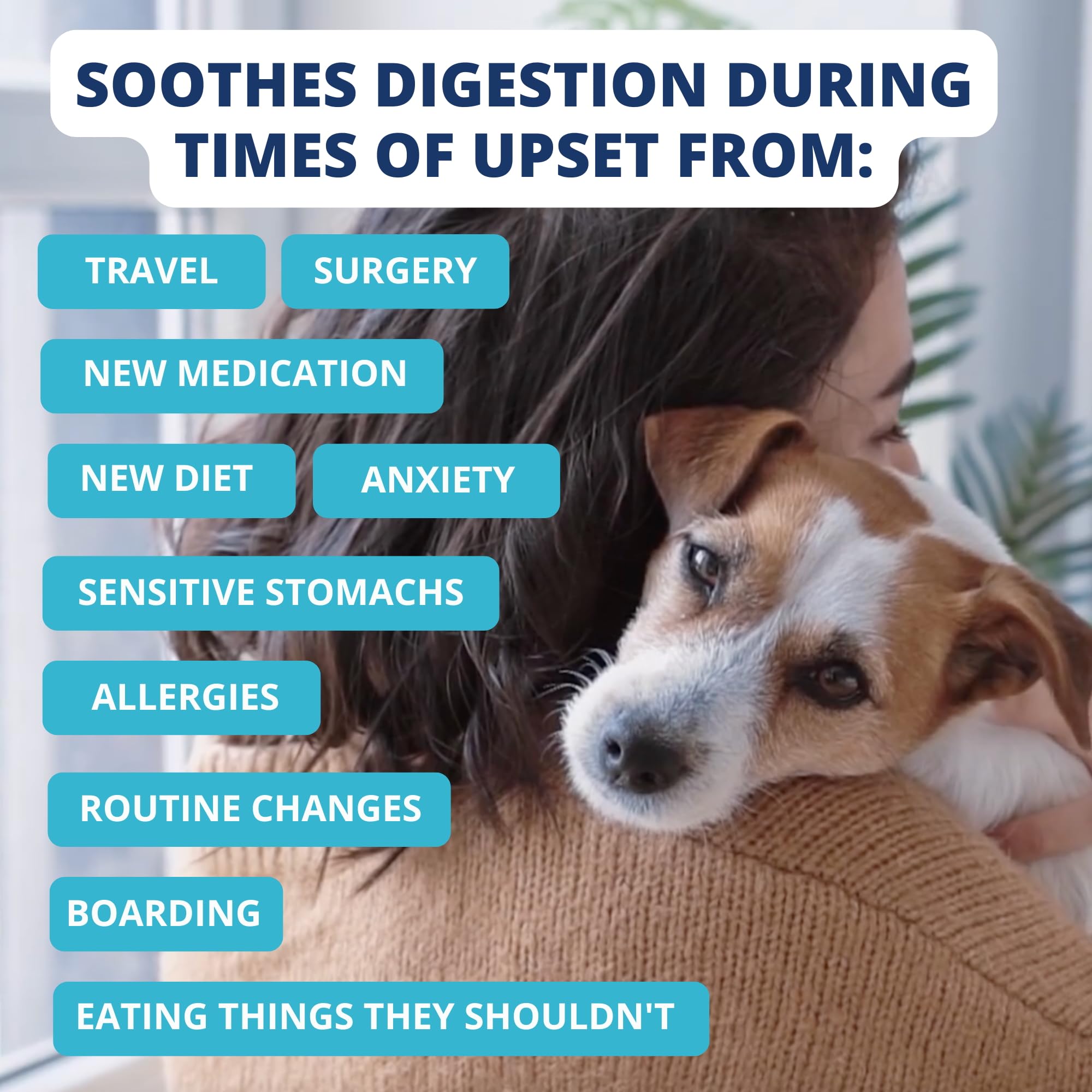 Under the Weather Bland Diet for Dogs | Easy to Digest for Sick Dogs | Always Be Ready | Contains Electrolytes - All Natural Fre