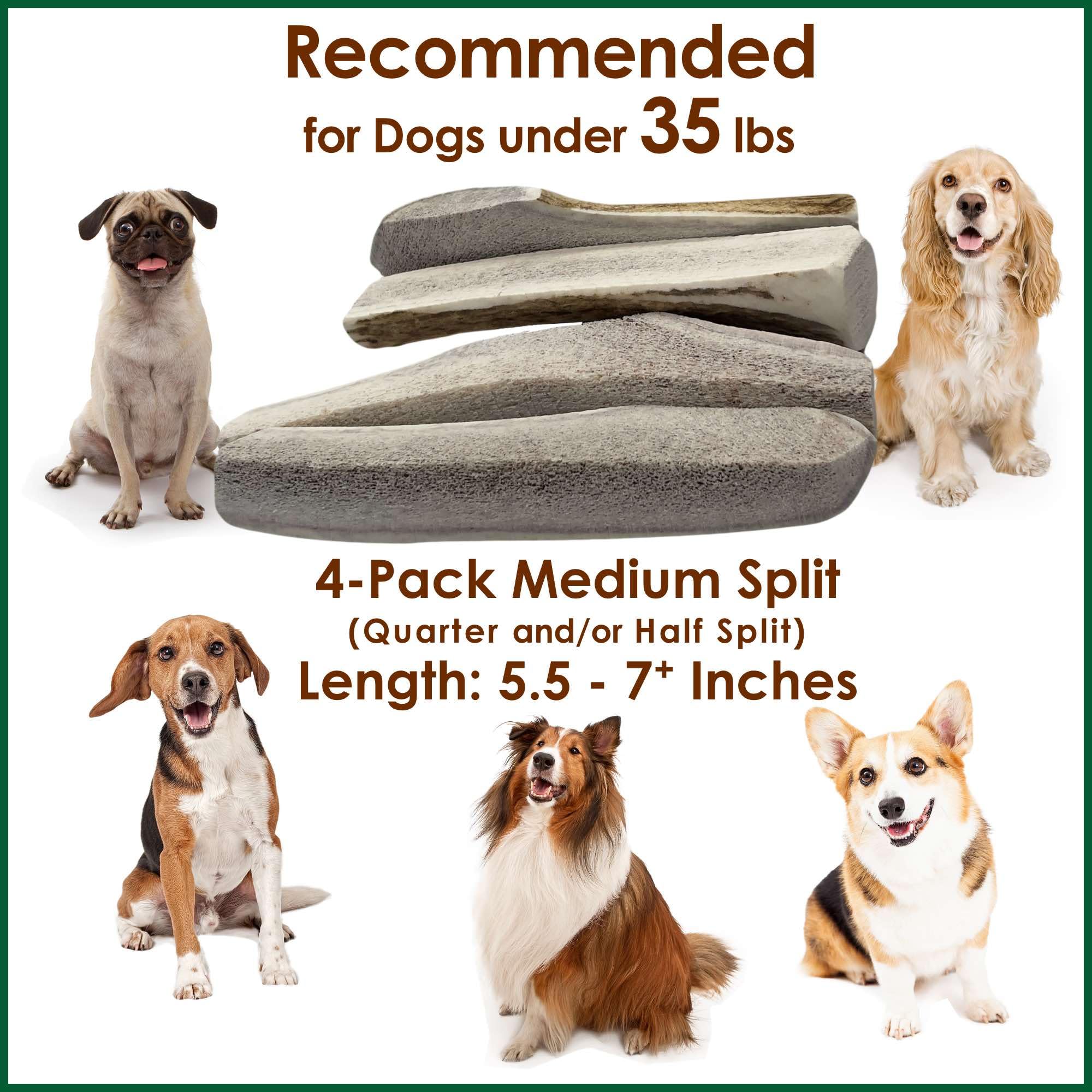 Deluxe Naturals Elk Antler Dog Chews | Long-Lasting A-Grade Premium Elk Antler Chews for Dogs from Naturally Shed Elk Antlers Co