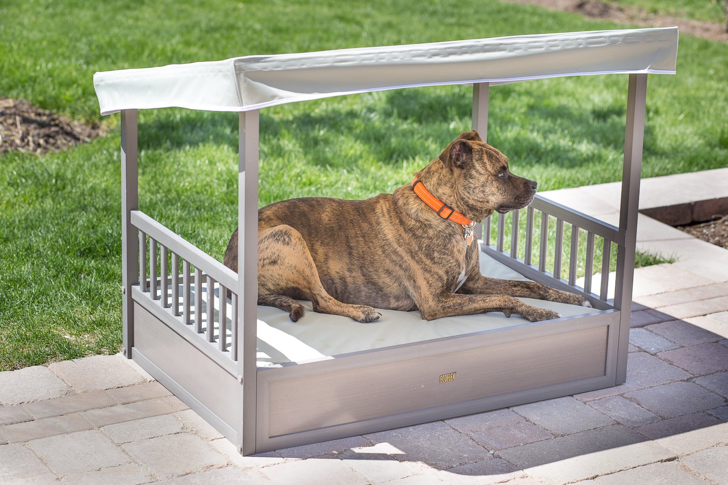 New Age Pet Ehpb505 Ecoflex Outdoor Dog Bed With Cover, Grey