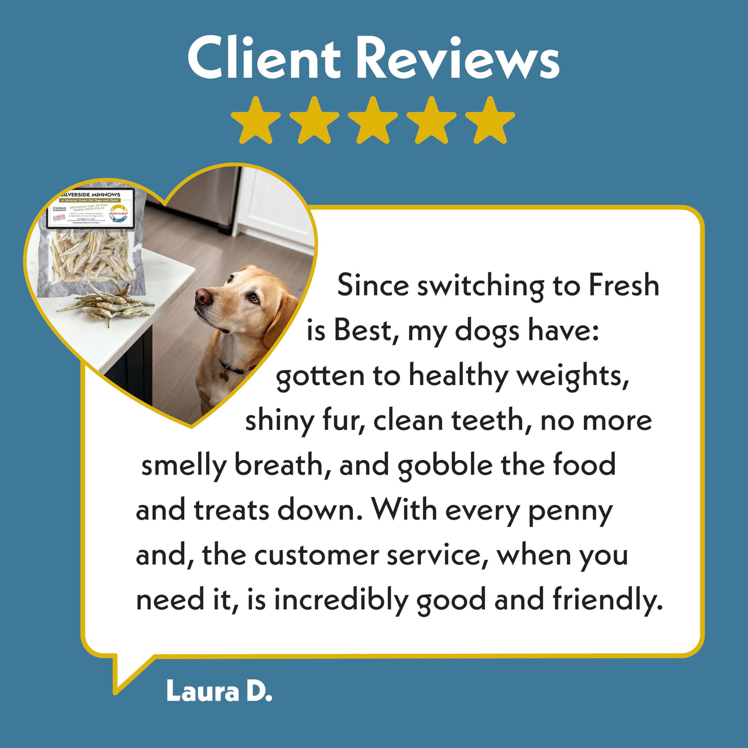 Fresh Is Best - Freeze Dried Healthy Raw Meat Treats for Dogs & Cats - Silverside Minnows