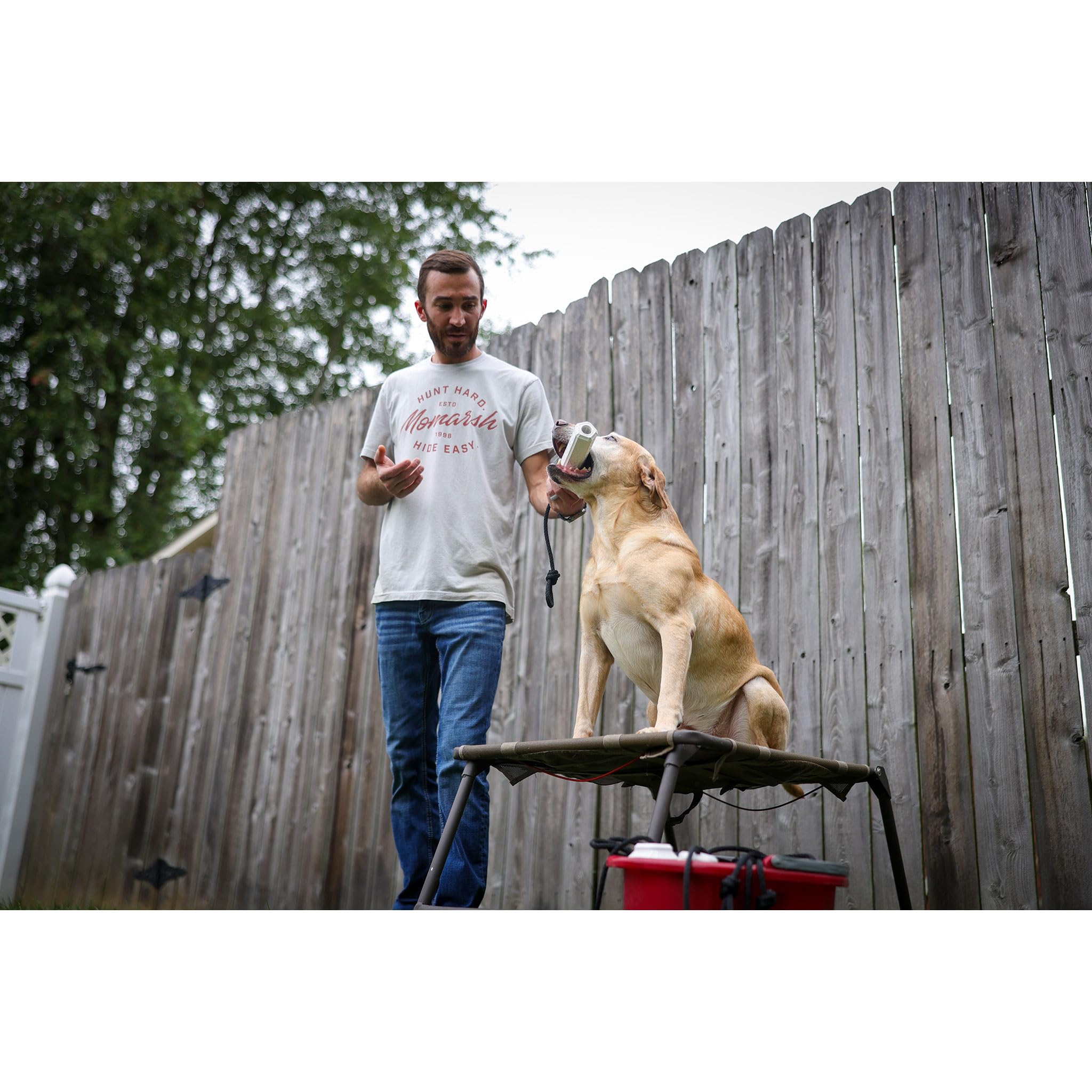 Momarsh Final Stand Adjustable Dog Training Platform | Elevated Pet Training System For Place, Agility, & Steadiness Training