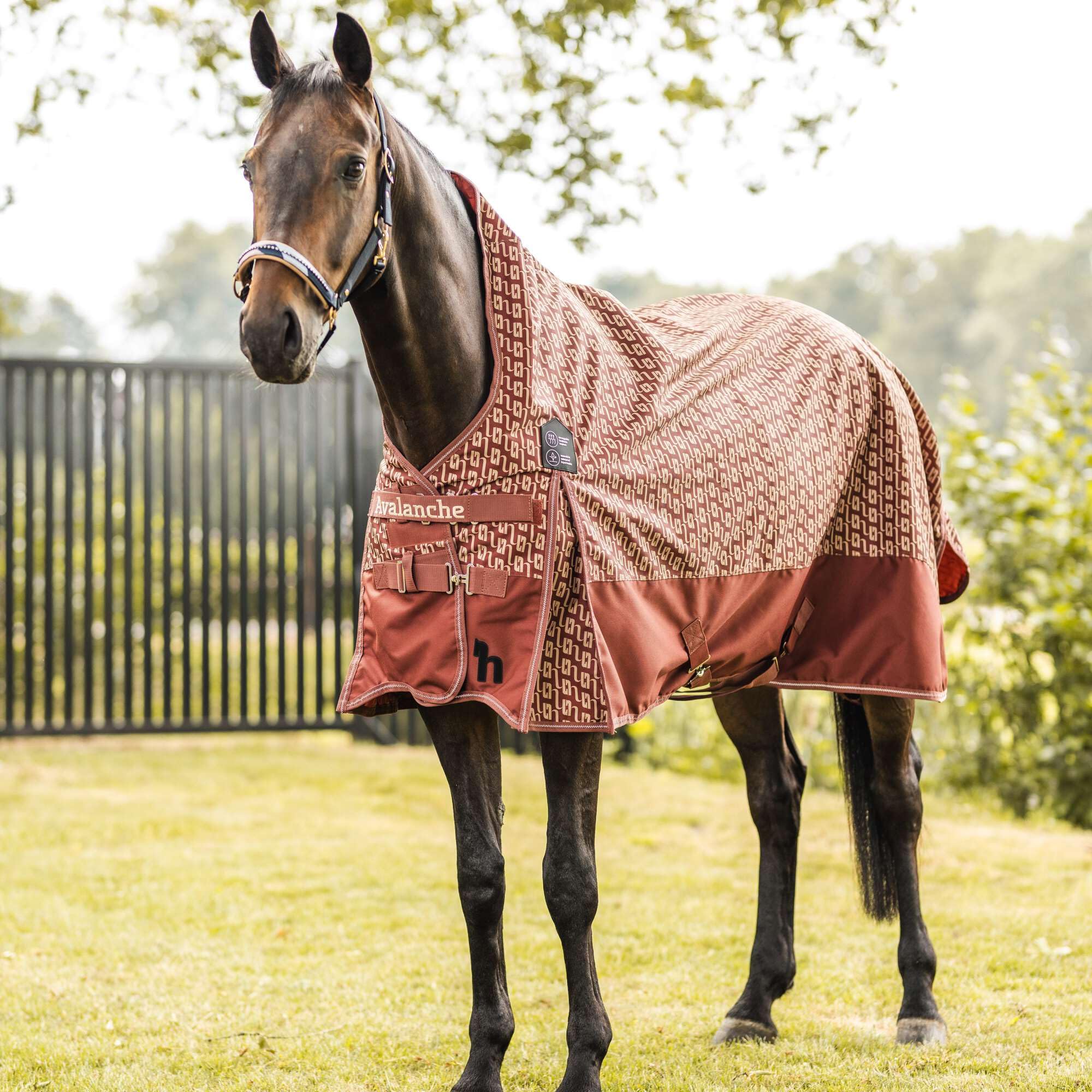 HORZE Avalanche 1200D High Neck Turnout Rain Sheet (No Fill) | Lightweight Waterproof Horse Blanket - Smoked Paprika/Brush - 84