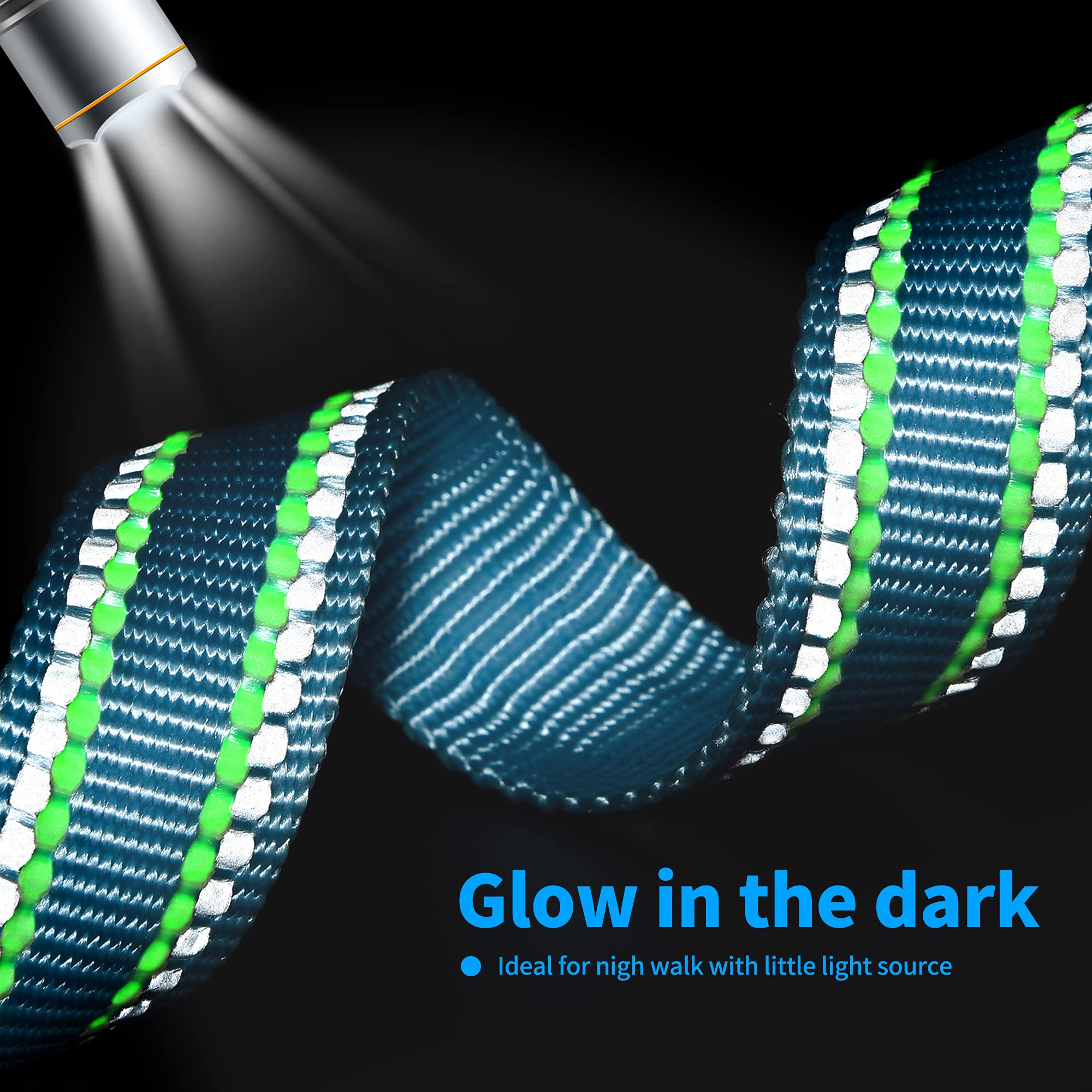 Mile High Life | Nylon Night Light Glow Collar For Medium Dogs | Reflective Band Cat Collar | Fluorescence Self-Luminescence Strap Puppy Collar | Safe Night Walk Collars For Dogs (Blue, S)