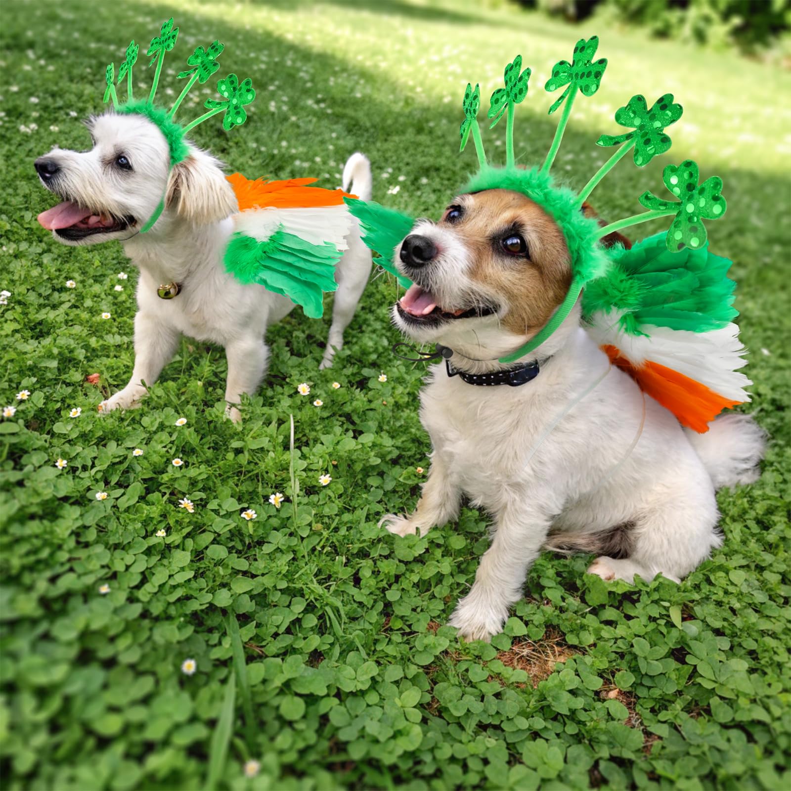 Shurung Adorable Shamrock Headband St. Patrick'S Day Costume Set With Irish Colors Feather Wing & Trefoil Headband Lucky-Themed