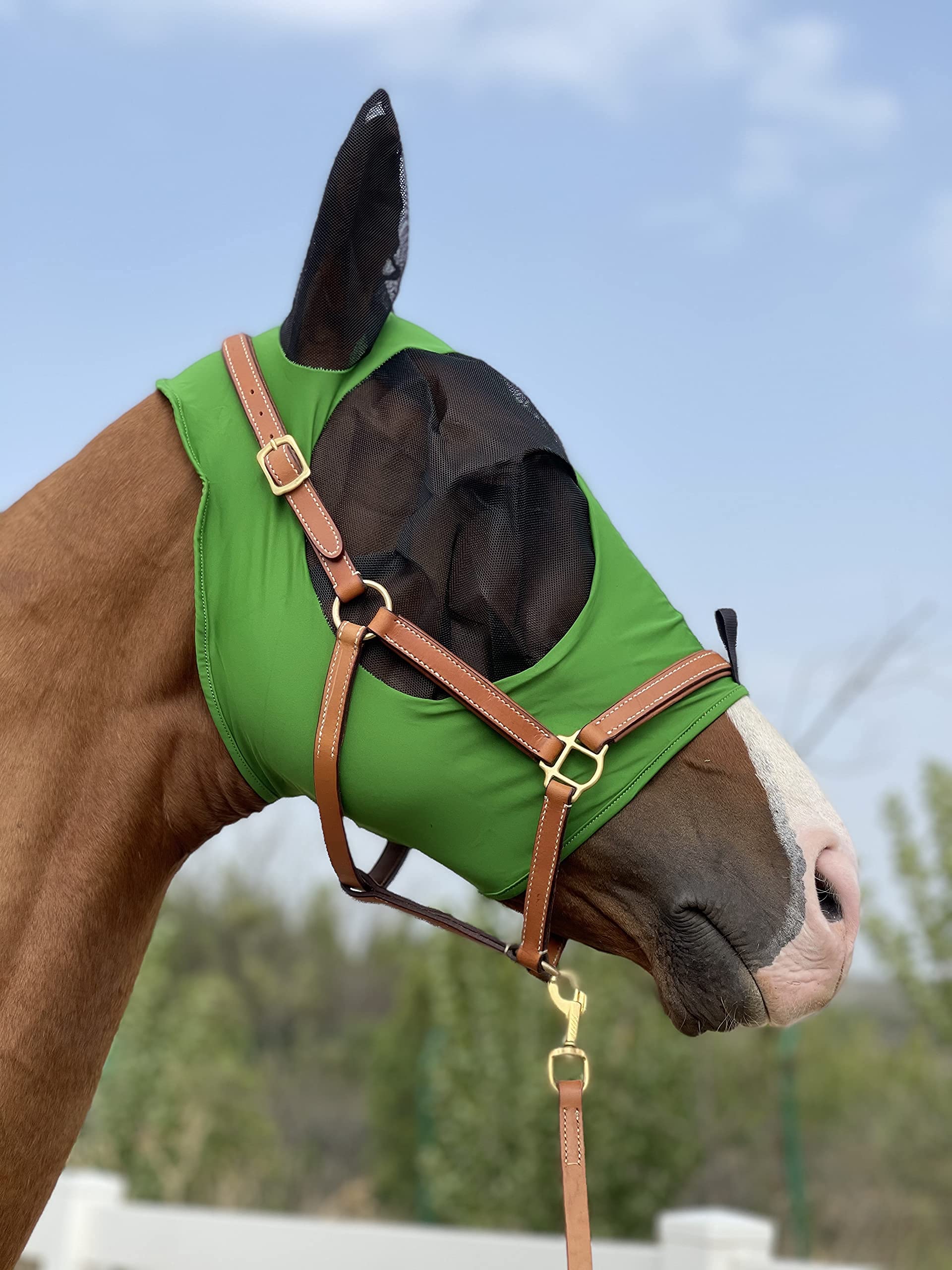 Horse Fly Mask Super Comfort Horse Fly Mask Elasticity Fly Mask with Ears We Only Make Products That Horses Like (Hunter Green,