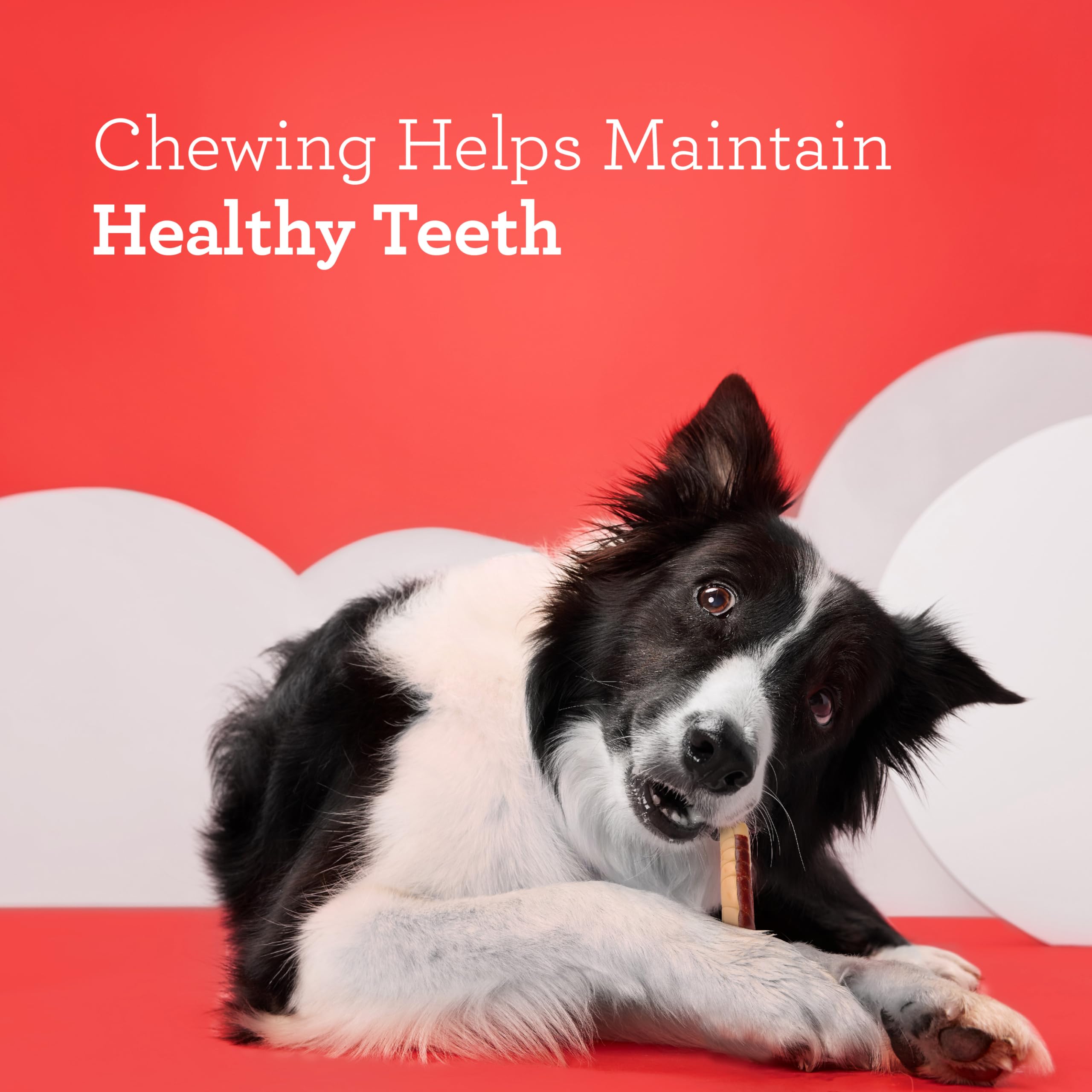 DreamBone DreamSticks, Treat Your Dog to a Chew Made WIth Real Chicken and Vegatables, 5 Count