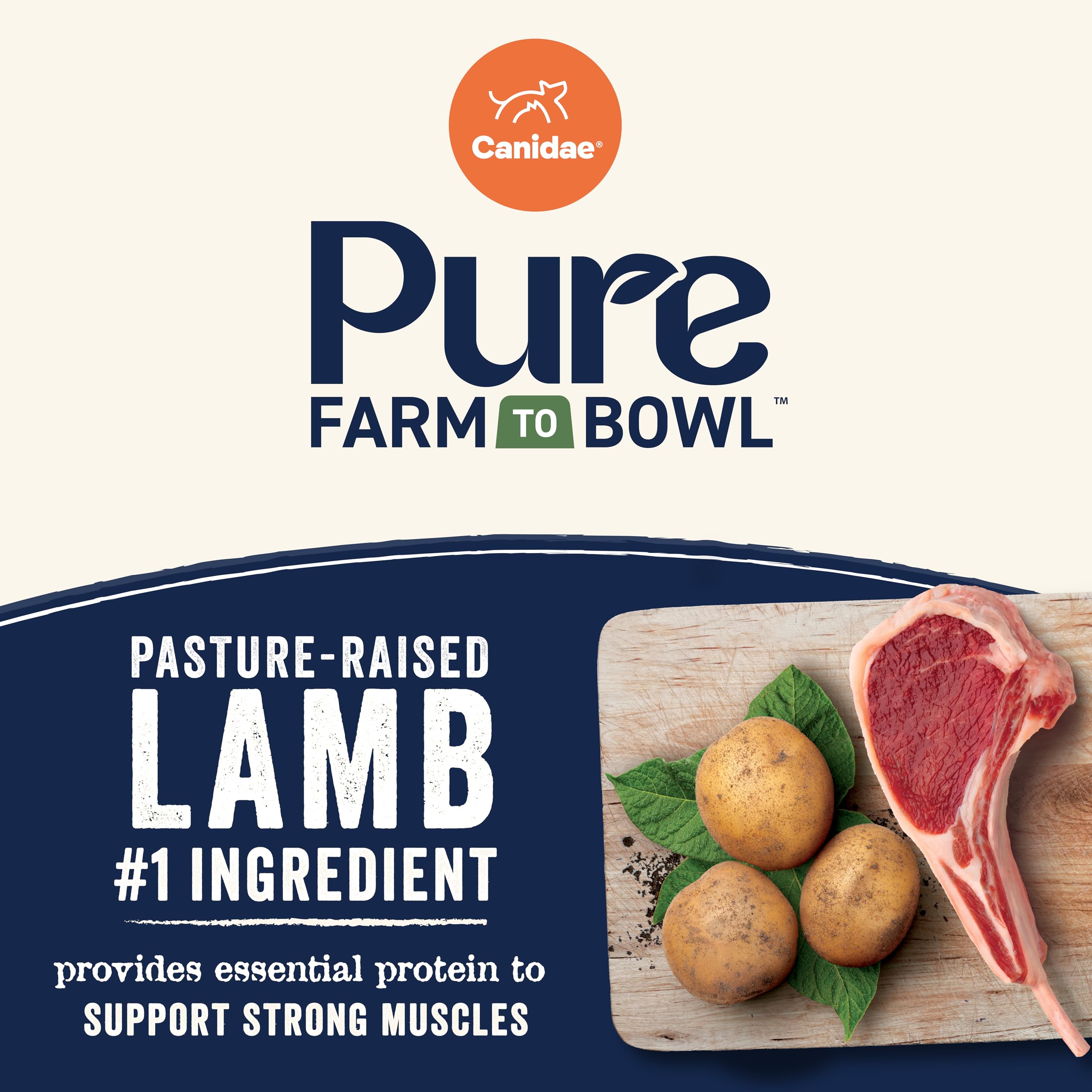Canidae Pure Limited Ingredient Premium Adult Dry Dog Food, Real Lamb, Goat & Venison Meals Recipe, 22 lbs, Grain Free