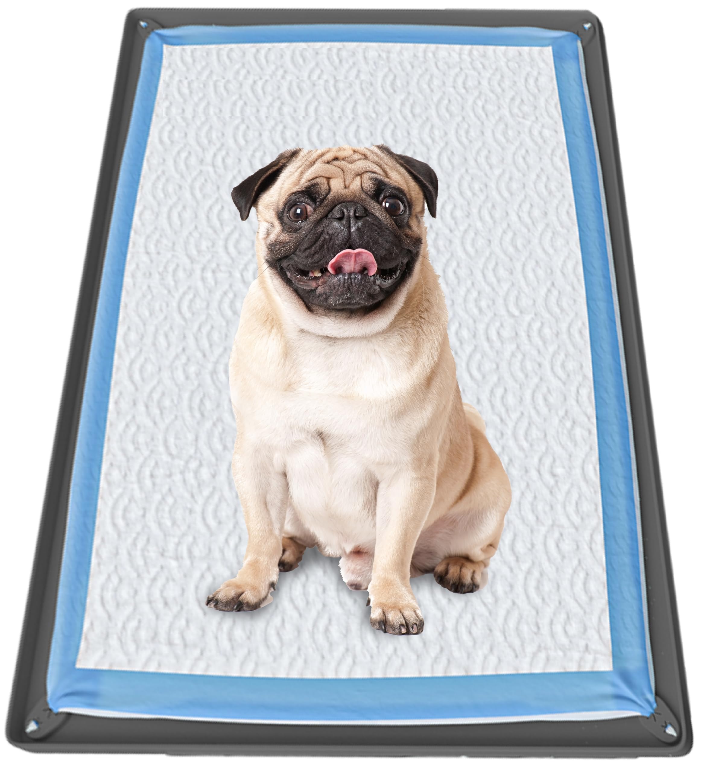 Skywin Tidyfriend Pee Pad Holder Tray 27.5 X 44 Inches, Silicone Dog Potty Tray, Easy To Clean No Spill Dog Potty Training Pad H