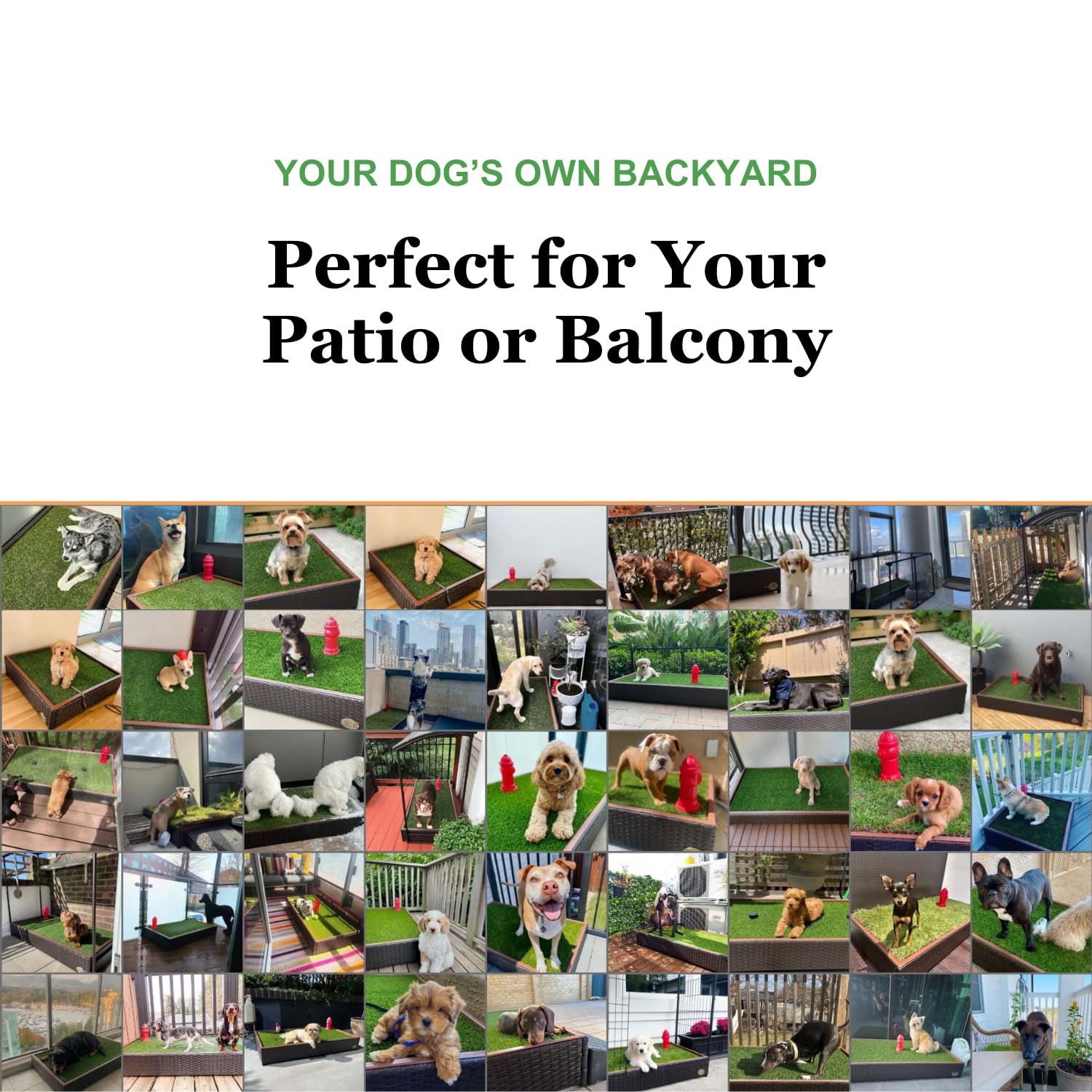 Porch Potty Small, Self-Draining Dog Potty With Premium Synthetic Grass Pads - Perfect For Apartments, Balconies, Patios, And Indoor/Outdoor Use