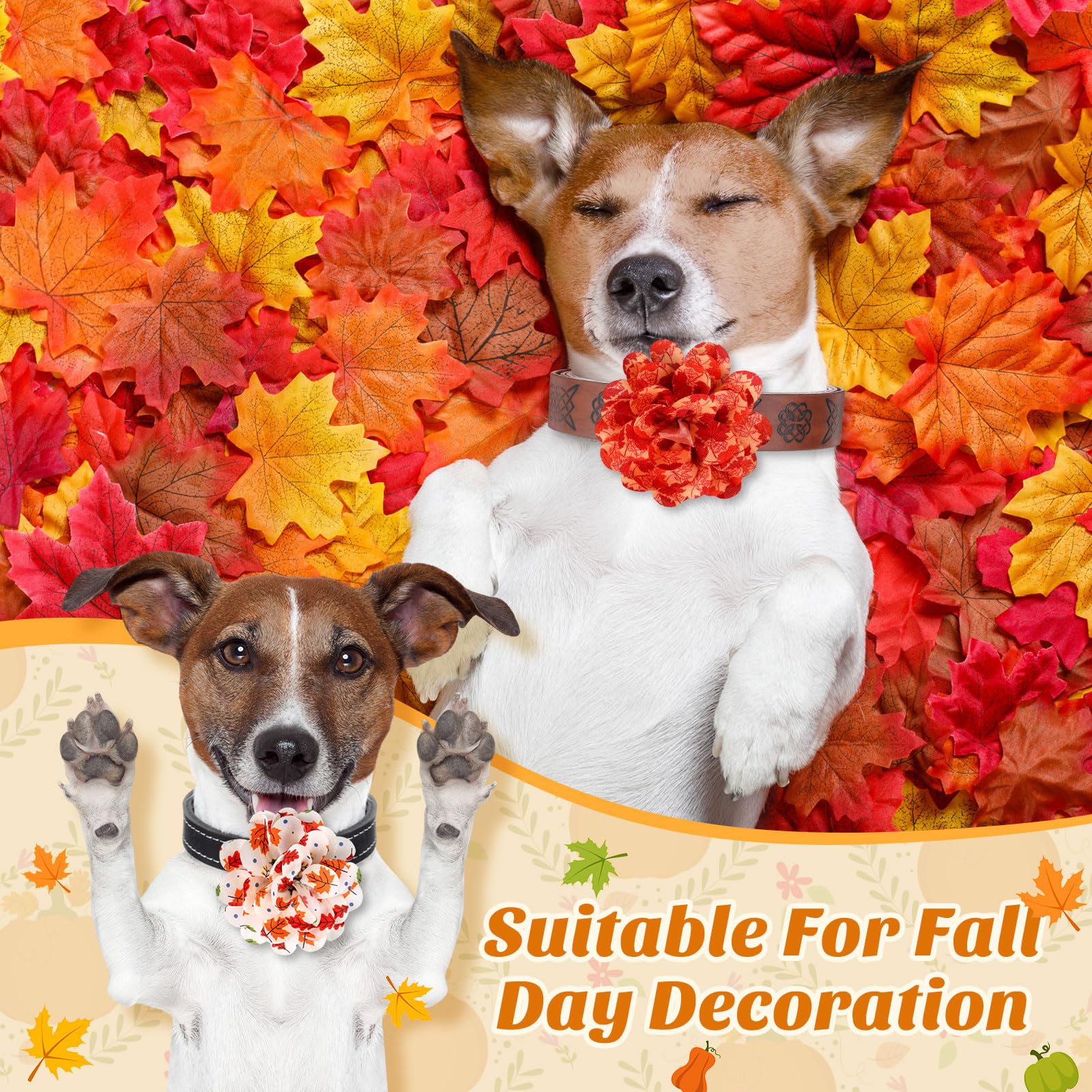 Huhumy 50 Pieces Fall Thanksgiving Dog Collar Flowers Bulk Maple Leaves Dog Charms Grooming Accessories Bow Tie Flower for Pets