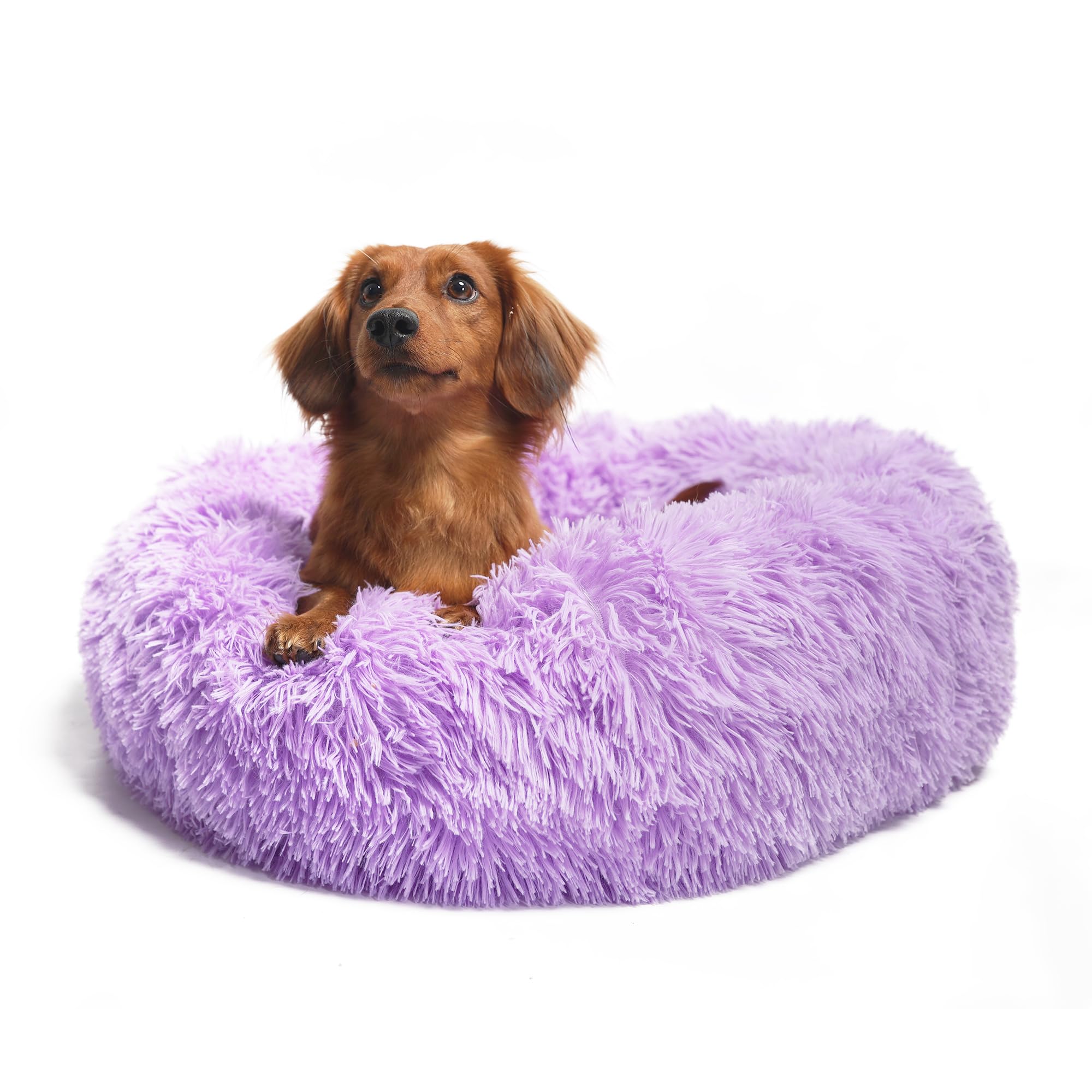 Dog Beds For Medium Dogs Washable 30 Inches Purple Fits Up To 45 Lbs Pets Beds Fluffy Anti Anxiety