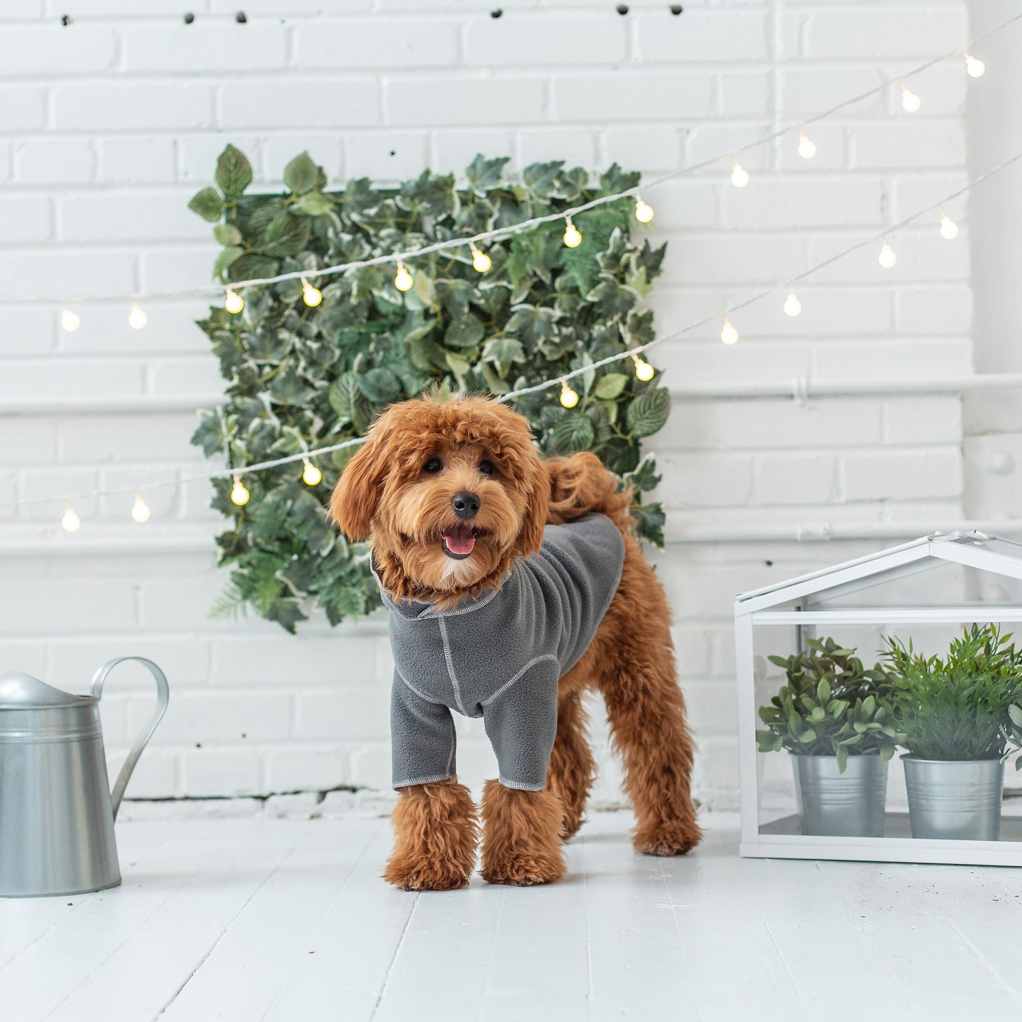 Gf Pet Gondola Base Layer For Dogs | Micro Polar Fleece Dog Bodysuit | Warm 4-Way Stretch Onesie | Full Body Coverage, Protection From Cold | Pajamas & Winterwear - Charcoal - 2X Small