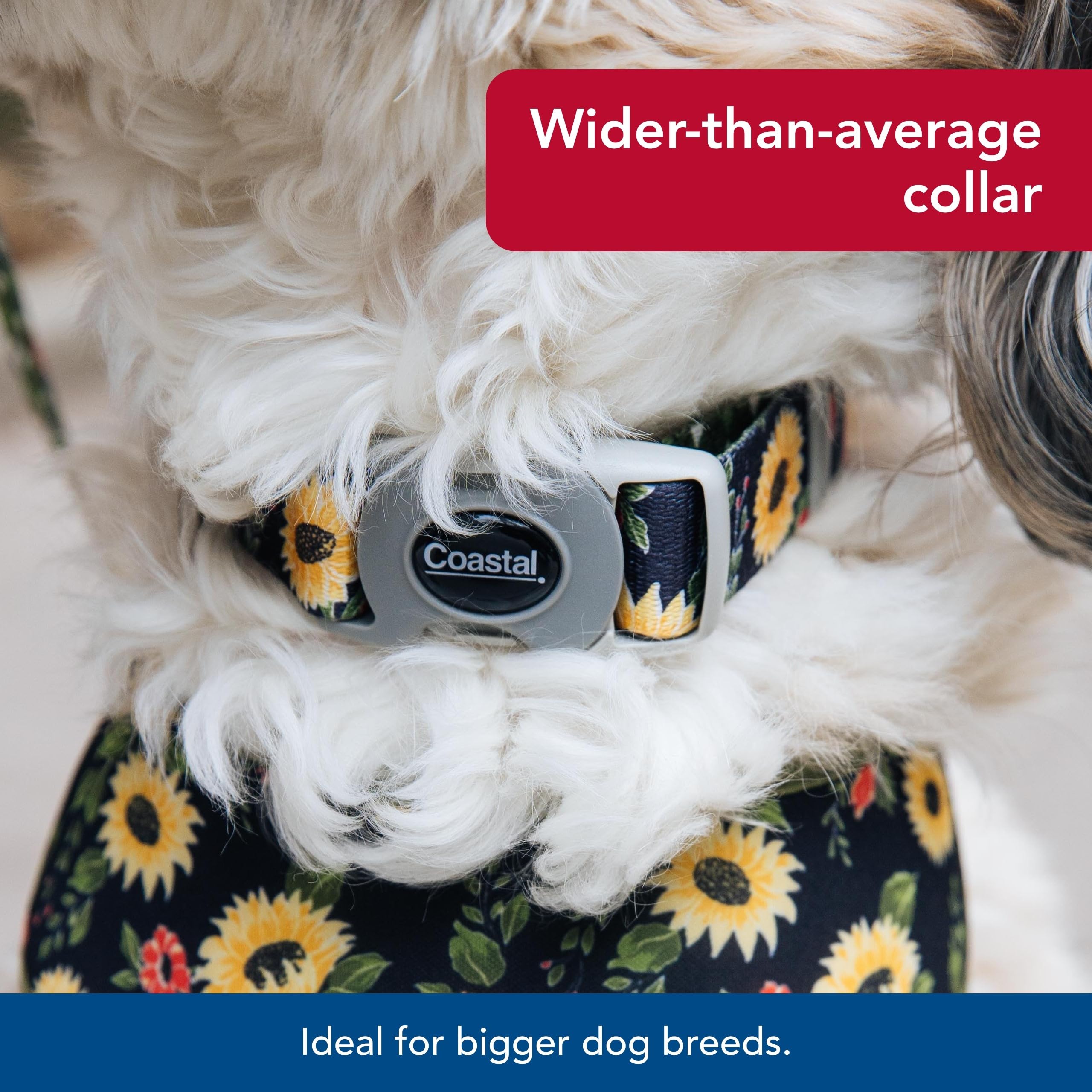 Coastal Pet Sublime Adjustable Dog Collar - Adjustable Plastic Buckle - Vibrant & Colorful Dog Collar With Fade-Resistant Patterns - Sunflower With Green Argyle, Medium - 1' X 12'-18'