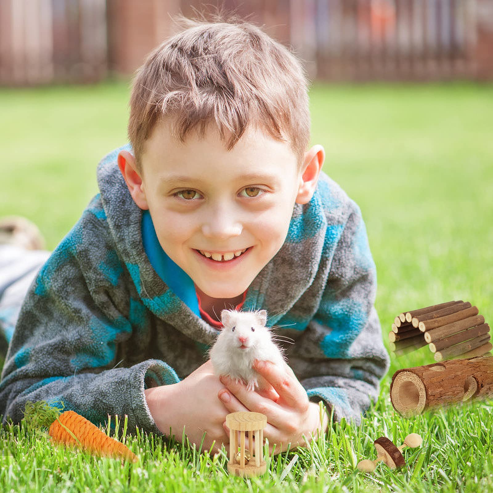 Sofier Hamster Toys Hamster Accessories For Cage Natural Guinea Pig Toys And Chews For Teeth Rat Toys Chinchilla Toys Wood Hamster Hideout Hamster Bridge Apple Wood Sticks