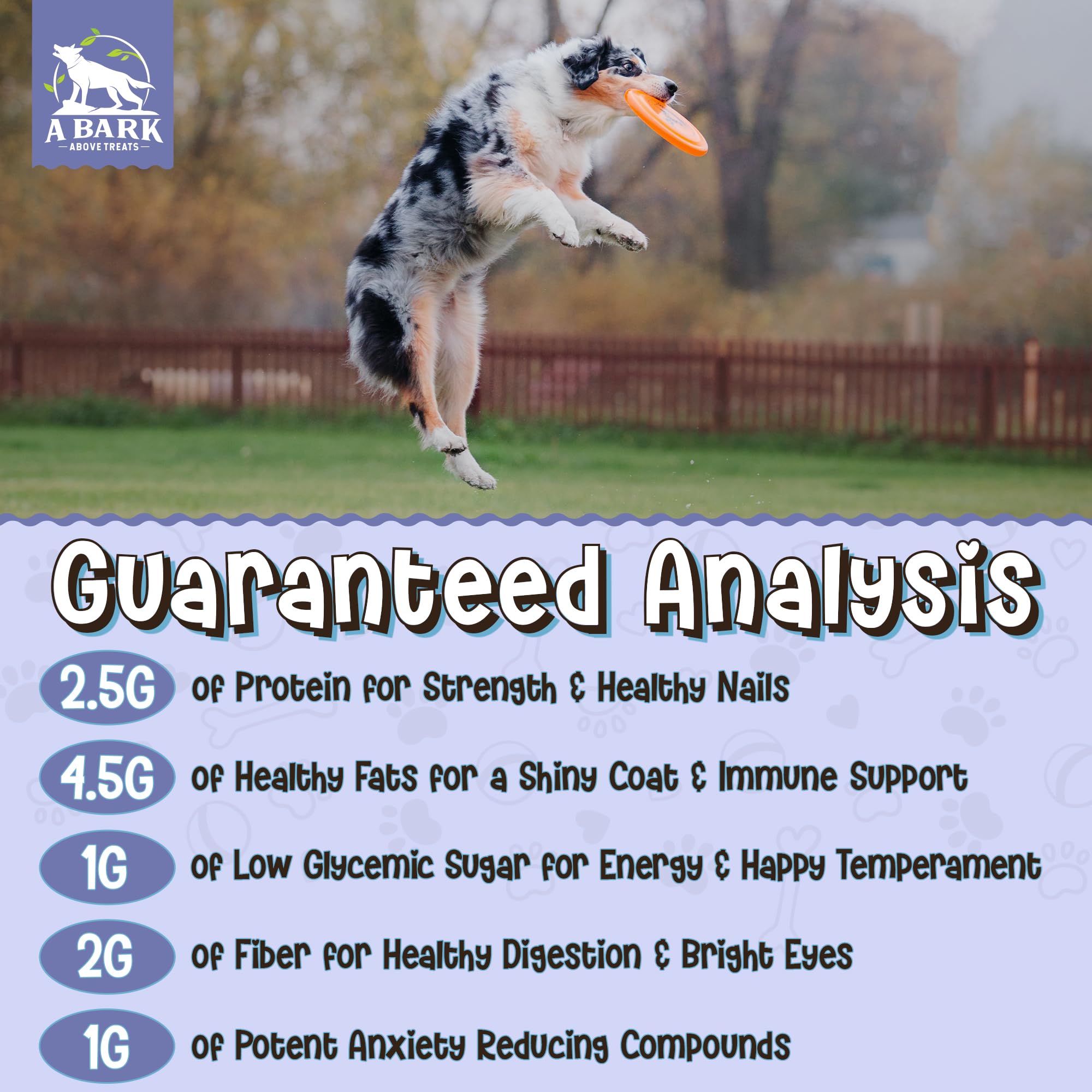 Zoomie Butter Stress & Anxiety Dog Peanut Butter Squeeze Supplement, All Natural Calming Dog Treat. Human Grade & Safe Puppy Foo