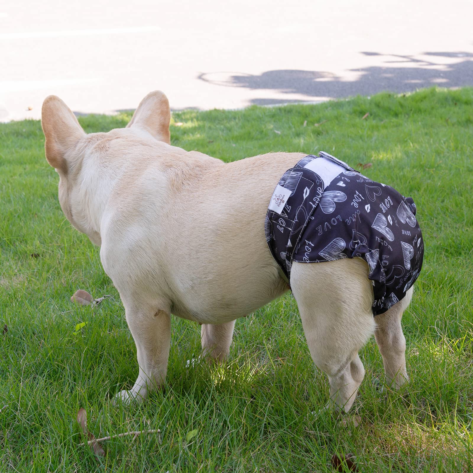 Cutebone Dog Diapers No Tail Hole Black 3 Pack Puppy Training Pants For Docked-Tail Dogs Wwd03S