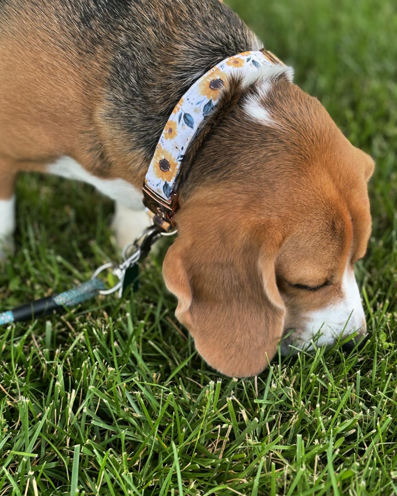 Elegant Little Tail Dog Collar, Sunflower Pattern Pet Collar Durable Cute Dog Collars Summer Fall Female Pet Gift Adjustable Dog