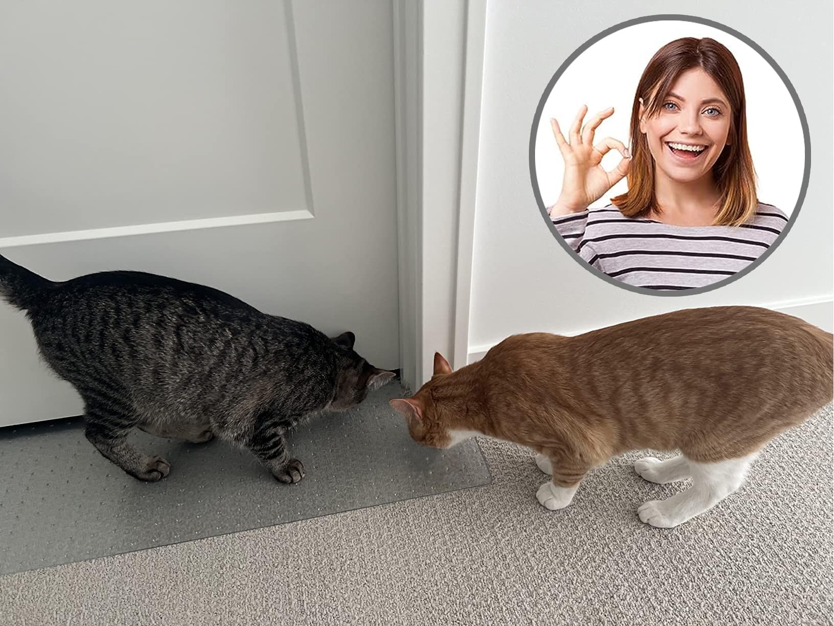 Kittysmart Carpet Scratch Stopper-Stop Cats From Scratching Carpets At Doorways Instantly-Precut To Fit Your Door-Requires No Cu