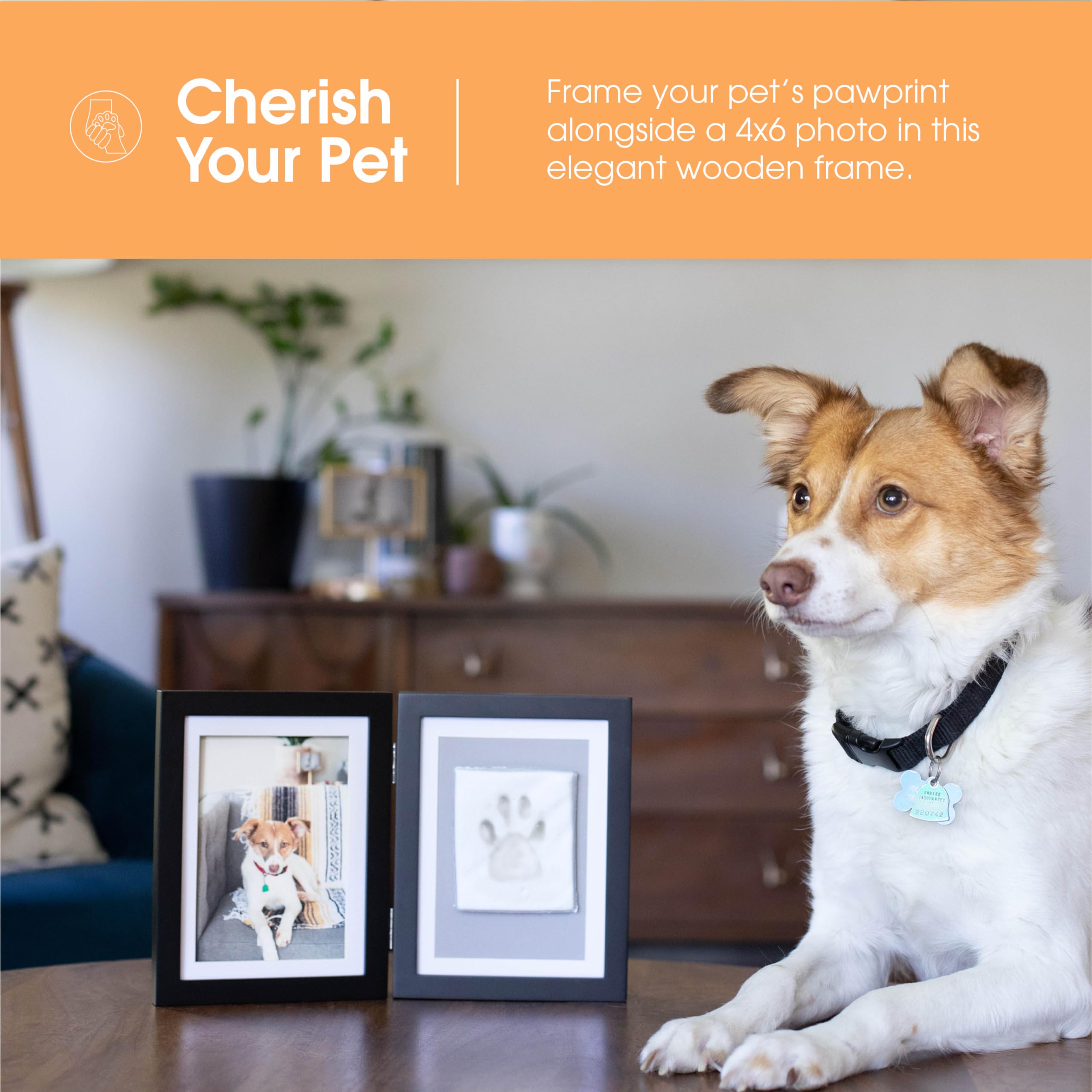 Pearhead Pet Paw Print Photo Frame With Clay Imprint Kit - Wooden Pet Paw Print Frame, DIY Memorial Keepsake for Cats and Dogs,