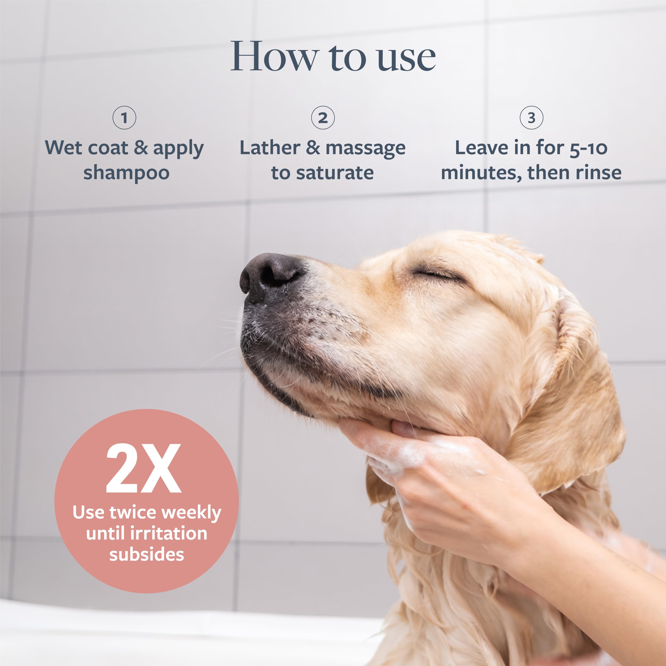 Veterinary Formula Medicated Shampoo for Dogs & Cats - Hot Spot & Itch Relief, 16 Fl Oz (Pack of 2)