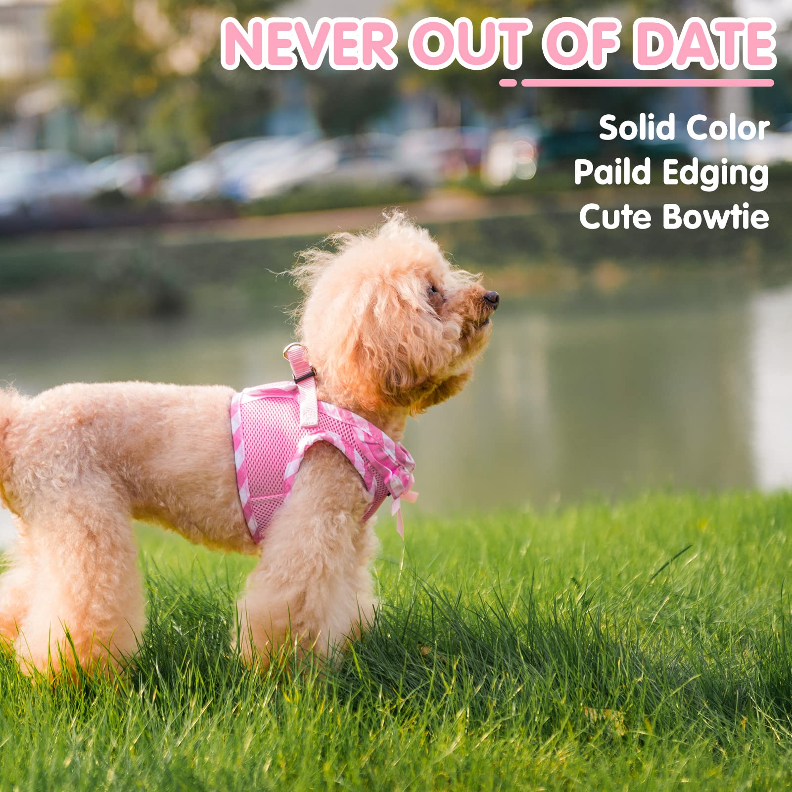 Pupteck Small Dog Harness No Pull Step-In Puppy Cat Harness Soft Mesh For Girls, Pink S